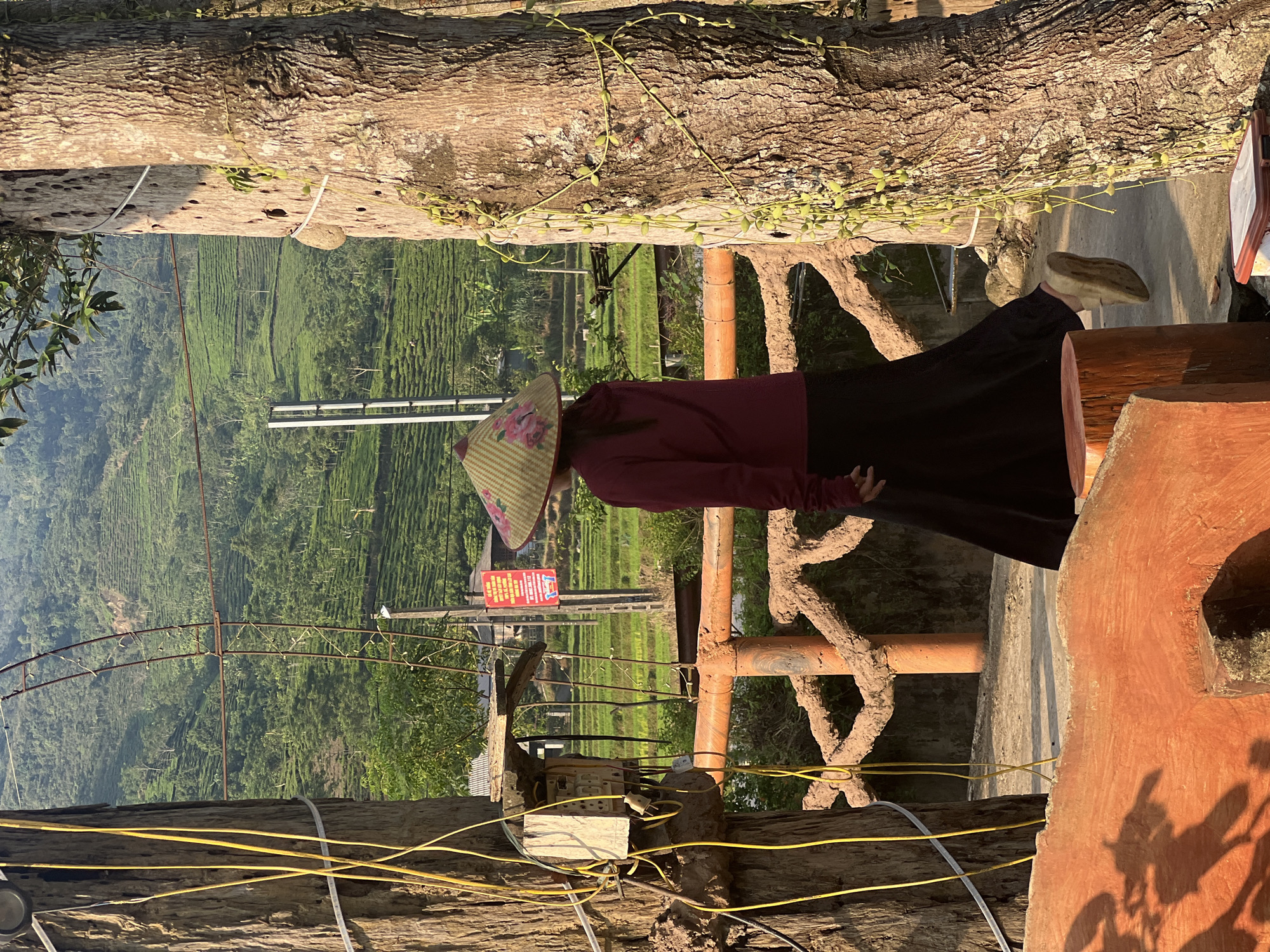 In Gia Hội, Vietnam, a person wearing a conical hat and a maroon long-sleeved shirt with a black skirt walks away from the camera, towards a lush, terraced hillside covered in greenery, possibly tea or rice fields. The person's legs are visible, and they are wearing light-colored slip-on shoes. They are framed by two large tree trunks on either side, with yellow wires strung between them and an electrical box attached to the left trunk. A decorative, roughly textured orange railing with faux-wood accents runs horizontally in the mid-ground. In the distance, a red sign with white text is mounted on a pole. The scene is bathed in the warm light of what appears to be early morning or late afternoon sun, casting shadows on the ground and highlighting the textures of the natural and man-made elements.