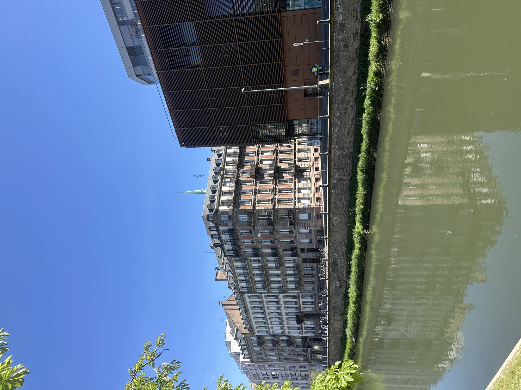 The image presents a sunlit urban scene along a canal in Strasbourg, France. The perspective looks across the murky green water of the canal, with buildings lining both banks.
On the left side of the frame, a continuous row of multi-story traditional European buildings stands. These structures feature numerous windows, many with small balconies or ornate ironwork, and sloped roofs punctuated by dormer windows. A distinct green spire rises above the roofline of one of these older buildings, suggesting a church or significant historical structure. Bright green foliage from trees is visible in the lower left corner and partially along this bank, framing the scene.
On the right side of the frame, a modern building dominates, characterized by a dark, slatted facade on its lower sections and a lighter-colored upper story, possibly glass or metal. A person wearing a bright yellow vest is visible riding a bicycle on the pathway alongside this building, indicating everyday activity. Several street lamp posts are also present on this bank.
The canal water itself is a murky green, reflecting the clear blue sky and the surrounding buildings, creating subtle patterns on its surface. A narrow strip of green grass and hedges borders the water on both sides. The sky above is a vibrant, clear blue, indicative of bright daylight and sunny weather. A faint crescent moon is visible in the upper sky. The overall impression is that of a pleasant, clear day in a bustling yet picturesque European city. No discernible text is visible on any signs or buildings.