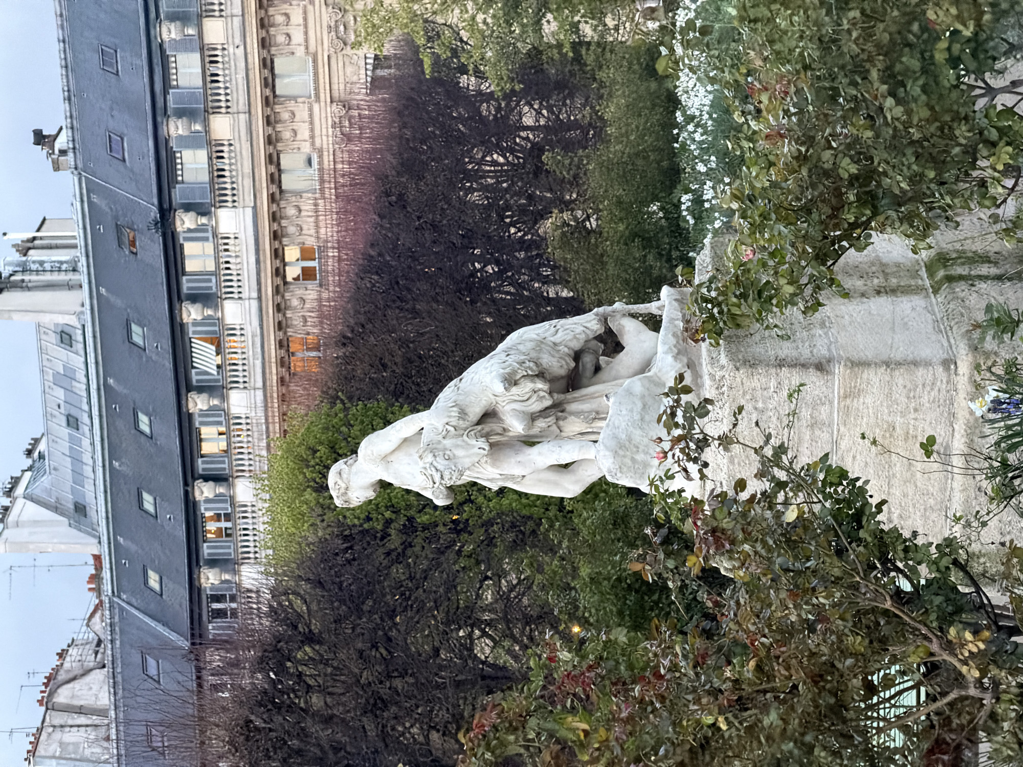 The image displays a white marble statue, "Le Berger et le bélier" (The Shepherd and the Ram) by Jean-Baptiste Debay, prominently situated within the Jardin des Tuileries in Paris, France. The statue features a muscular, partially draped male figure carrying a ram over his left shoulder, positioned on a multi-tiered stone pedestal. Surrounding the pedestal are various garden plants, including bushes with green and reddish foliage, some bearing small pink flower buds, and patches of small white flowers at ground level. In the middle ground, a line of dense, mostly bare trees and some greener foliage forms a natural barrier. The background reveals classic Parisian architecture: a grand building with a light-colored façade featuring a balustrade balcony adorned with large decorative urns, windows equipped with light-colored shutters, some of which are illuminated. Above this, a slate gray mansard roof with multiple dormer windows, skylights, and chimneys extends against a soft, overcast sky, suggesting dim light conditions.