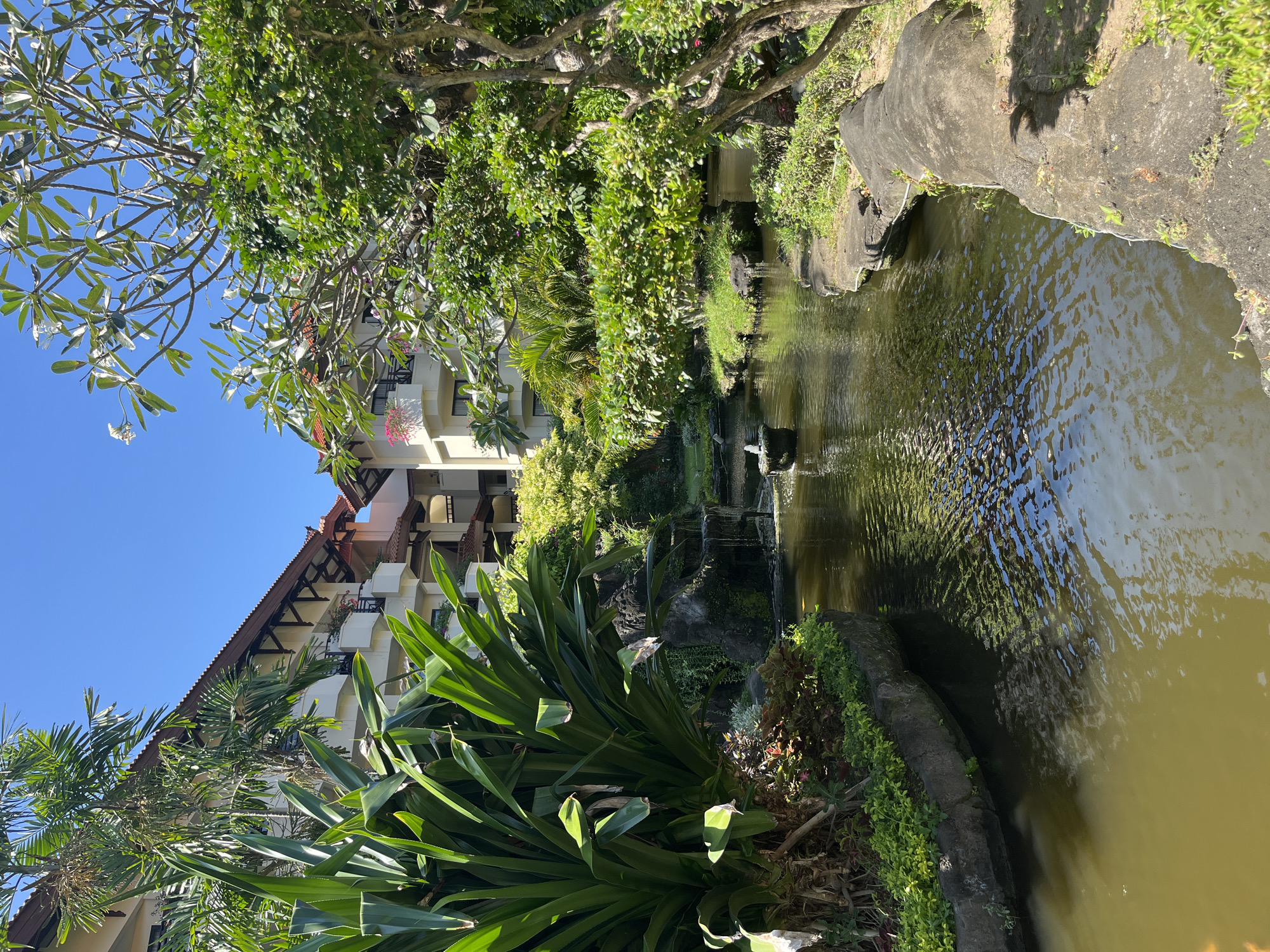 The image depicts a serene pond area within a resort or hotel complex in Kuta Selatan, Indonesia. The foreground features a body of water with ripples reflecting the surrounding greenery and sunlight. A small fountain spouts water from a stone structure in the middle of the pond. The edges of the pond are lined with dark, irregular rocks and lush vegetation, including vibrant green plants and some flowering bushes.
Behind the pond, there are multi-story buildings with a tropical architectural style, characterized by tiled roofs and balconies. The buildings are partially obscured by abundant tropical foliage, including palm trees and other leafy plants. The sky is clear and blue, indicating a sunny day. The overall impression is one of a well-maintained, tropical resort environment. There are no people visible in the image. The scene is tranquil and visually rich with natural elements and architectural structures.