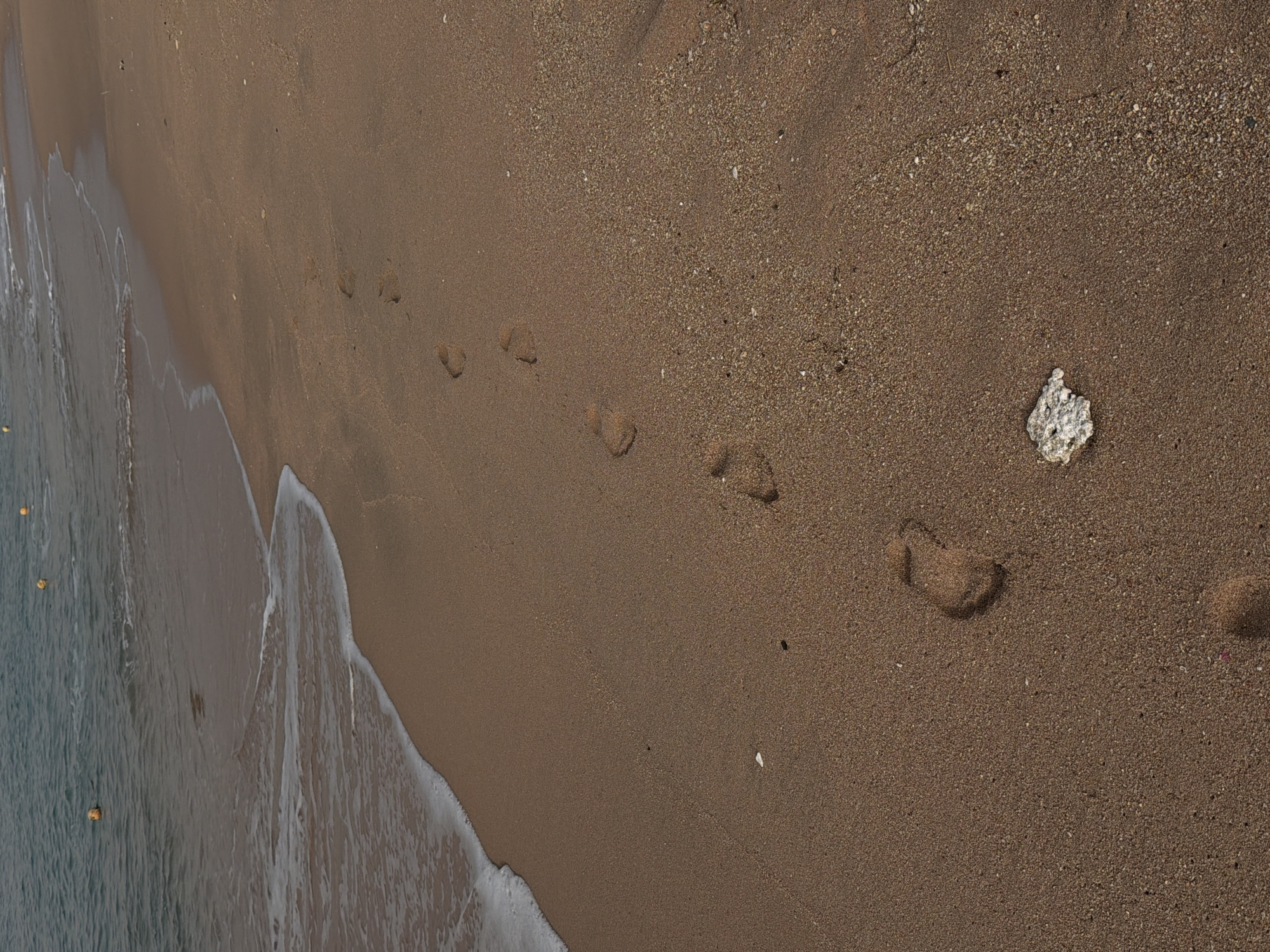 The image shows a section of a sandy beach in Sharm El Sheikh, Egypt. A line of receding waves marks the boundary between the sea and the shore on the left side of the frame. A set of footprints extends across the sand, moving away from the water. A piece of white coral or shell sits on the sand. Floating buoys are visible in the water.