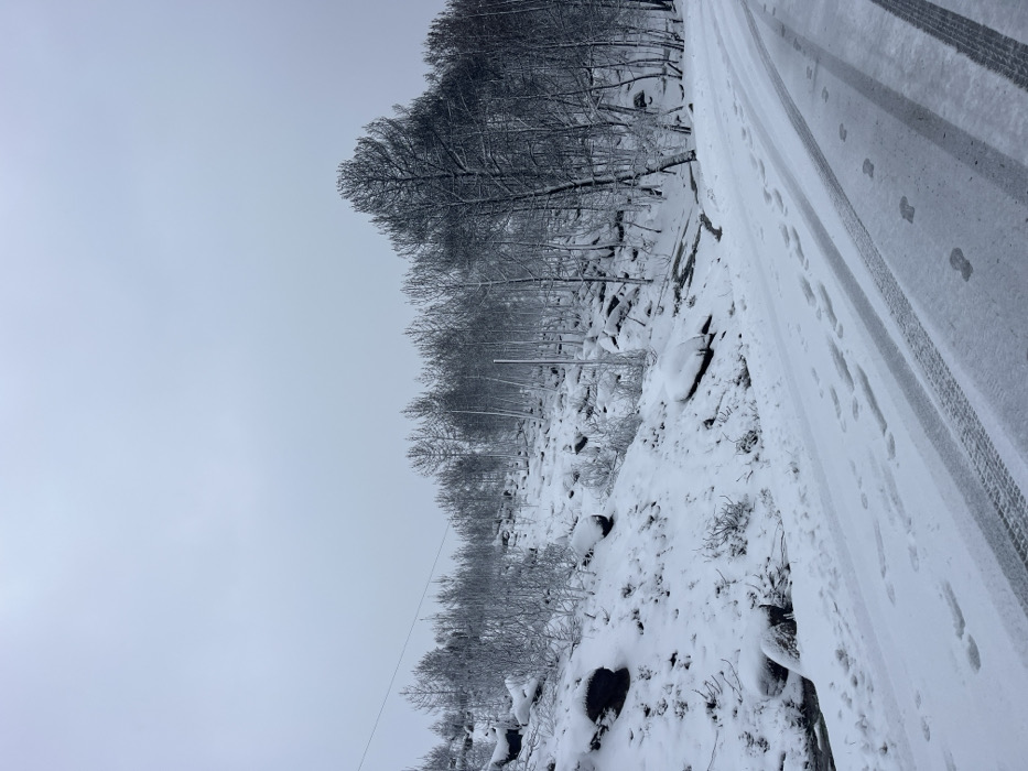 A snowy scene depicts a winding road with tire tracks and footprints, bordering a wooded area. Trees, dusted with snow, rise along the hillside. Dark rocks and sparse vegetation peek through the white blanket. The sky above is an overcast gray, contributing to the monochrome palette of the winter landscape. A wire spans across the view, adding a linear element to the otherwise organic composition.