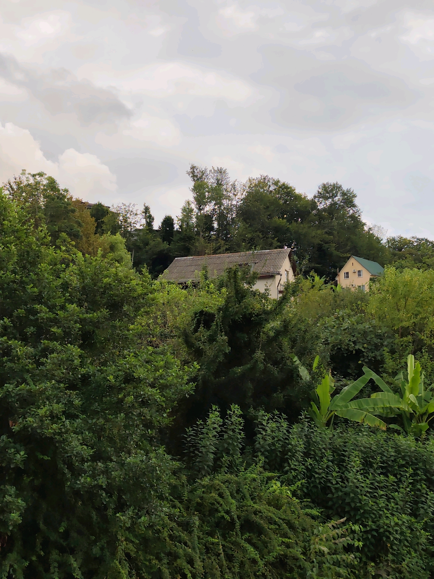 The image shows two houses nestled among dense green foliage under a cloudy sky. The house on the left has a gray, tiled roof and light-colored walls, with a darker roof visible on an extension. The house on the right has a distinctive green roof and is painted a pale yellow. Both structures appear to be residential. The foreground is dominated by lush green trees and bushes, with large, broad leaves of what appear to be banana plants visible towards the bottom right. The background consists of more trees and the overcast sky. The scene evokes a sense of rural or semi-rural living within a vegetated environment. The location is specified as Oryol-Izumrud, Russia.