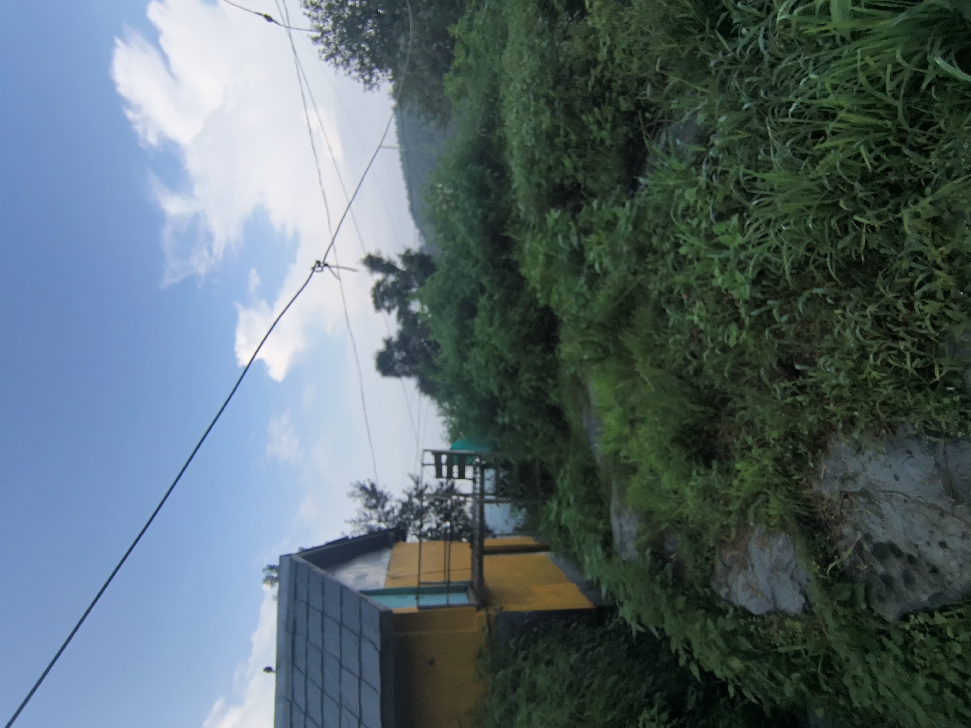 A bright yellow building with a dark gray roof is situated on a slight incline, partially obscured by lush green foliage. The building has a blue door and a metal railing leading to a wooden platform. Adjacent to the platform, a set of wooden stairs ascends to an unseen higher level. The foreground is dominated by dense green grass and vegetation, with large gray rocks scattered throughout. In the background, a hazy, tree-covered hillside rises under a pale blue sky with scattered white clouds. Electrical wires are visible strung across the upper portion of the image. The scene appears to be a rural or semi-rural area in Haini, India, likely during the daytime. There are no people or animals visible in the image.
