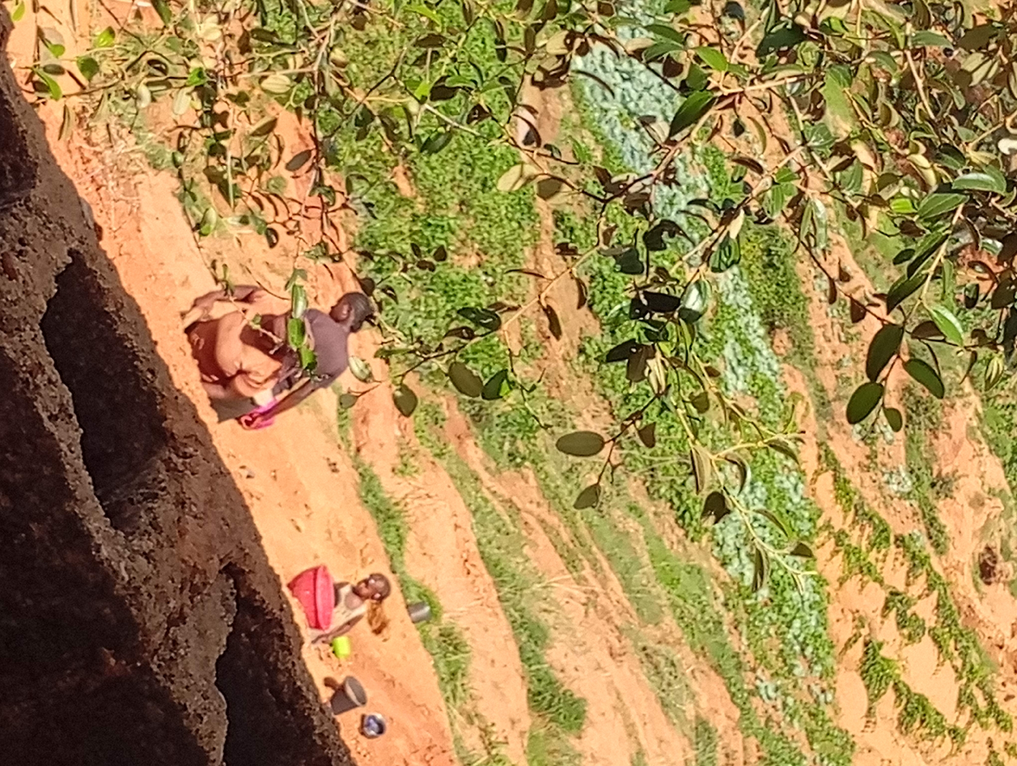 The image, oriented diagonally, depicts a scene likely in Bukuru, Nigeria. Two individuals are visible. One is seated near a rock face, with pink sandals and a dark shirt. Another person is further away, accompanied by a red bucket, a green container, and a couple of dark buckets. The ground is predominantly orange-brown with interspersed patches of green vegetation. Tree branches with green leaves frame the upper right of the scene.