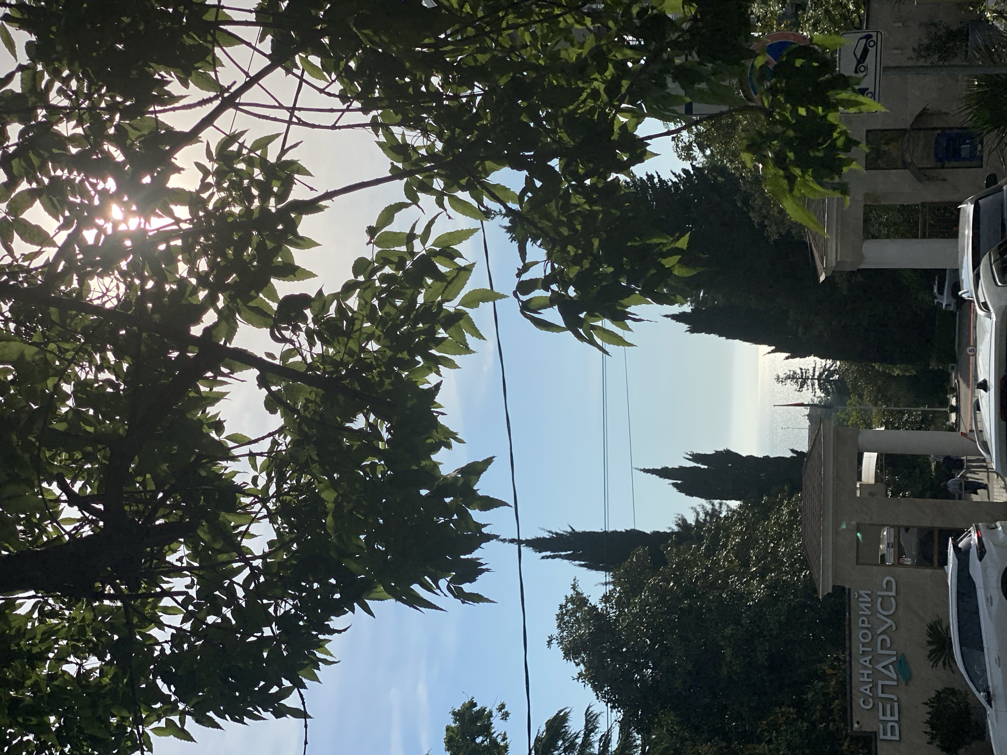 The image shows a view in Sochi, Russia, looking toward the sea, framed by trees on either side. On the right, the sign for "Sanatorium Belarus" is visible, along with parked cars and a covered structure with pillars. The sky is blue, and the sunlight filters through the leaves of the trees. A power line stretches across the view between the trees. The sea and distant coastline are visible between the trees and buildings.