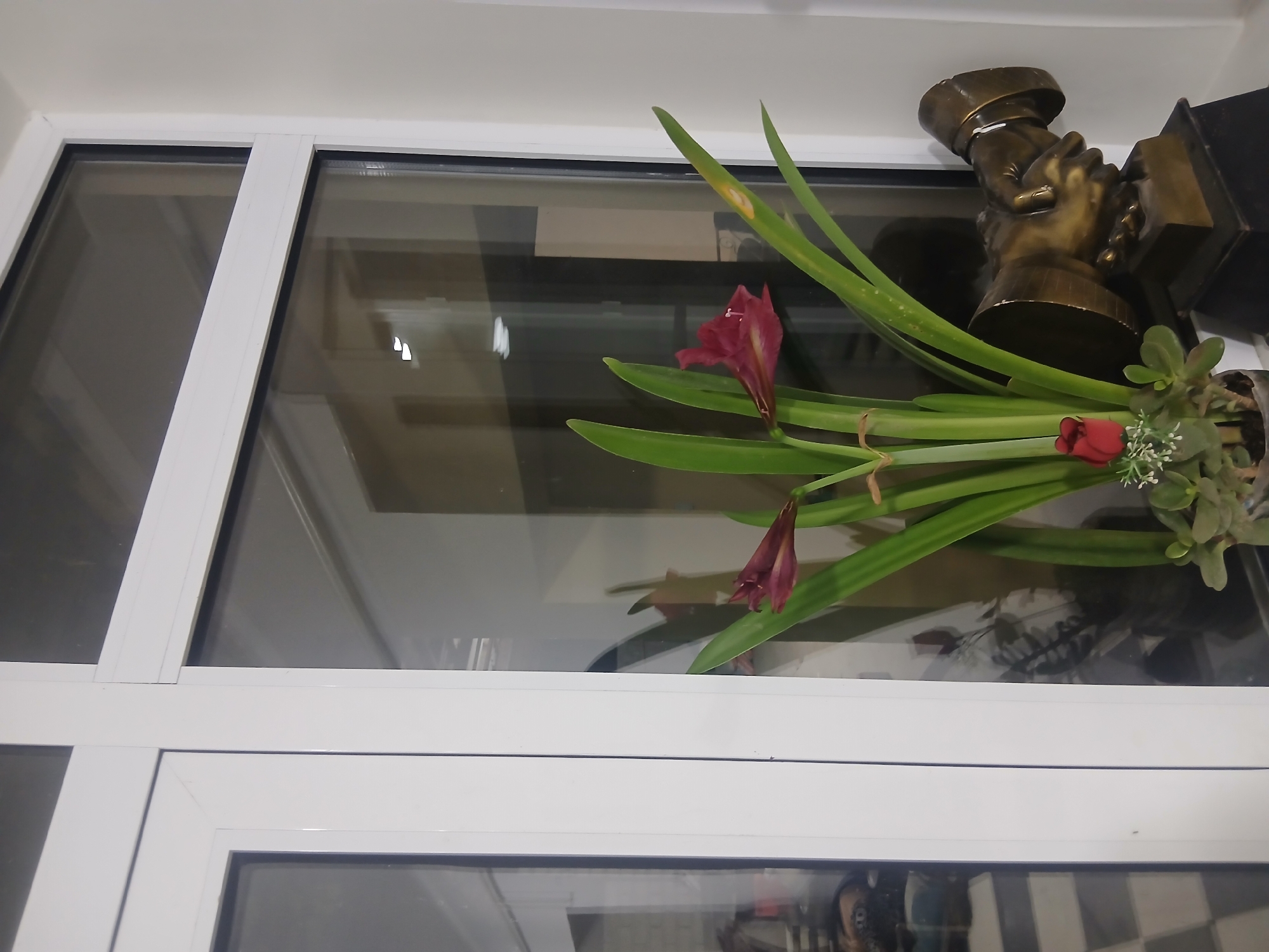 The image captures a close-up view of a window with white framing and reflective glass. Inside, a cluster of burgundy amaryllis flowers with long green leaves is positioned in the foreground, accompanied by a small succulent plant and a single red rosebud. To the right of the flowers, a bronze sculpture depicting two clasped hands is visible. The background visible through the glass suggests an indoor setting with subtle reflections of interior elements and possibly furniture. The lighting appears to be artificial, casting soft shadows. The location is identified as Charvadar, Uzbekistan, though no specific landmarks within the city are discernible from the image itself.