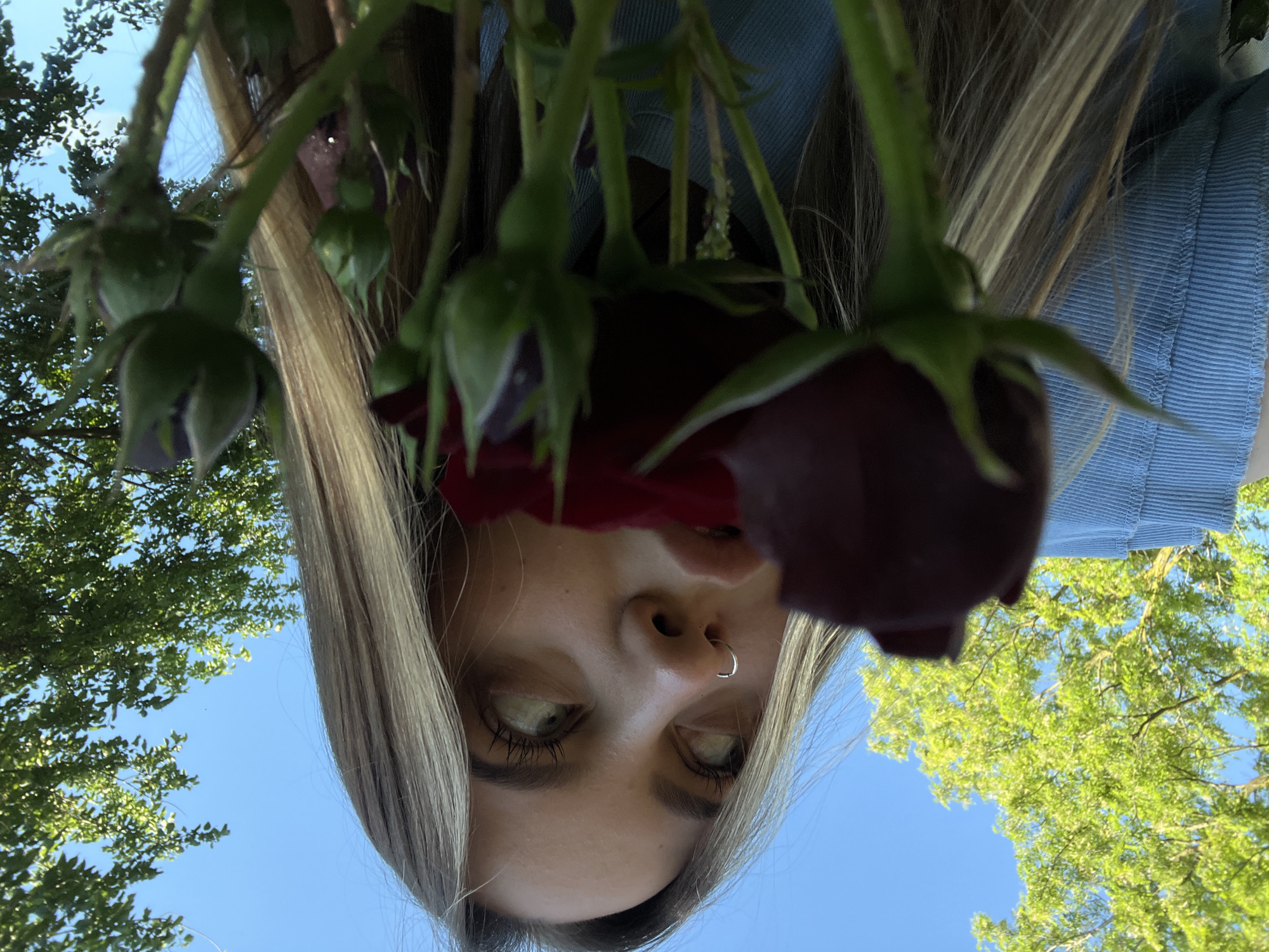 An upward-facing, low-angle shot captures a young person holding dark red roses against a clear blue sky, likely in Novopokrovskaya, Russia. The individual's face is seen from below, with their eyes looking directly down towards the camera. Long, light brown hair frames the face, which features a nose ring. The roses, some still in bud form and others partially open, are held above the face, with their green stems and leaves prominent in the foreground. A glimpse of a light blue garment, possibly a denim shirt or jacket, is visible near the top right. In the background, lush green tree foliage contrasts with the vibrant blue sky, suggesting an outdoor setting during daytime with clear weather. No visible text is present.