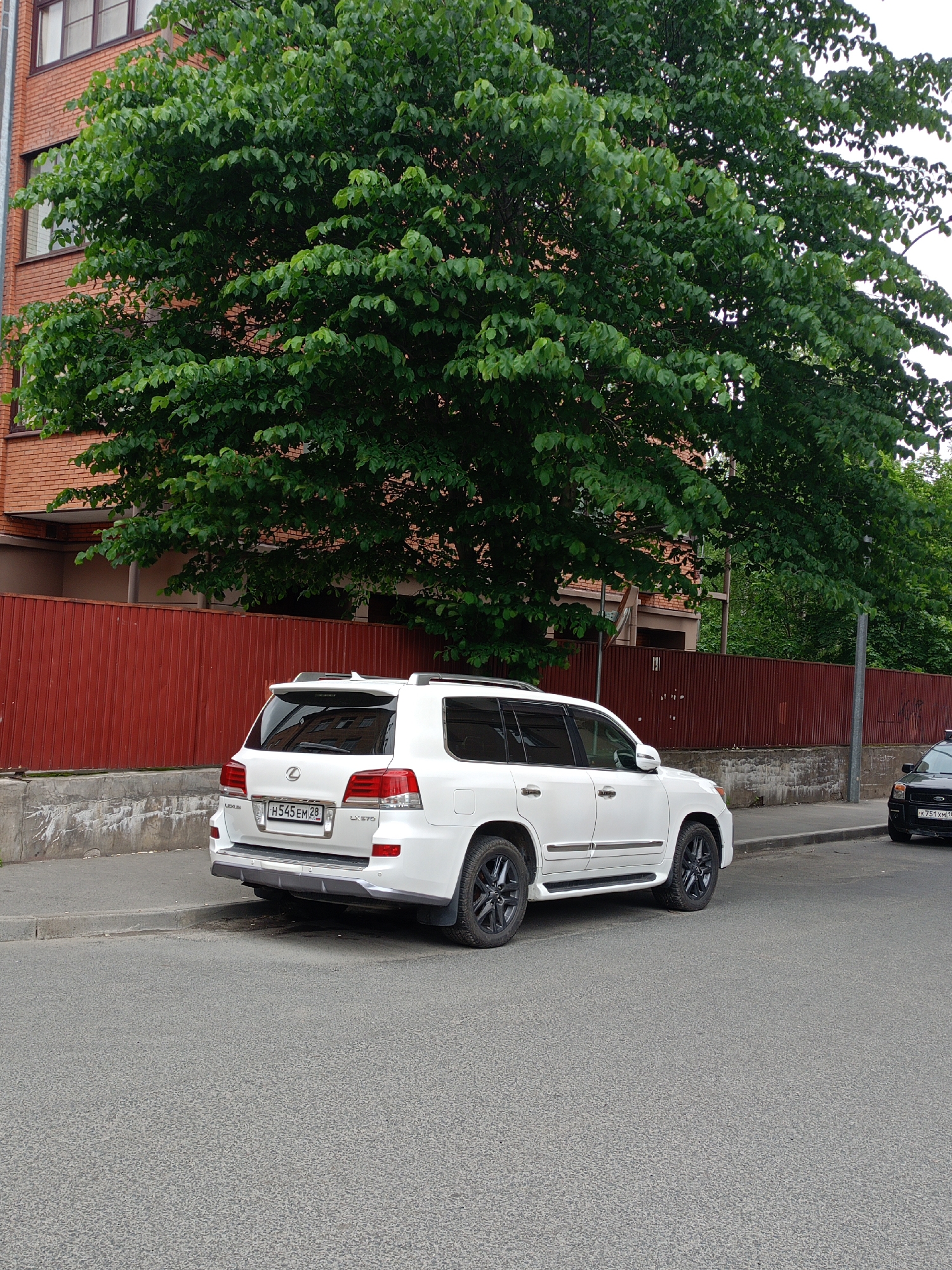 A white Lexus LX 570 SUV is parked on the right side of a residential street, facing away from the camera. The SUV has a license plate that reads "H 545 EM 28". A dark-colored SUV is partially visible in the background on the right. A tall green tree with dense foliage dominates the left side of the image, with a brick building visible behind it. A red metal fence runs along the sidewalk behind the white SUV. The street is paved with asphalt, and there is a concrete curb separating the road from the sidewalk. The sky is overcast.