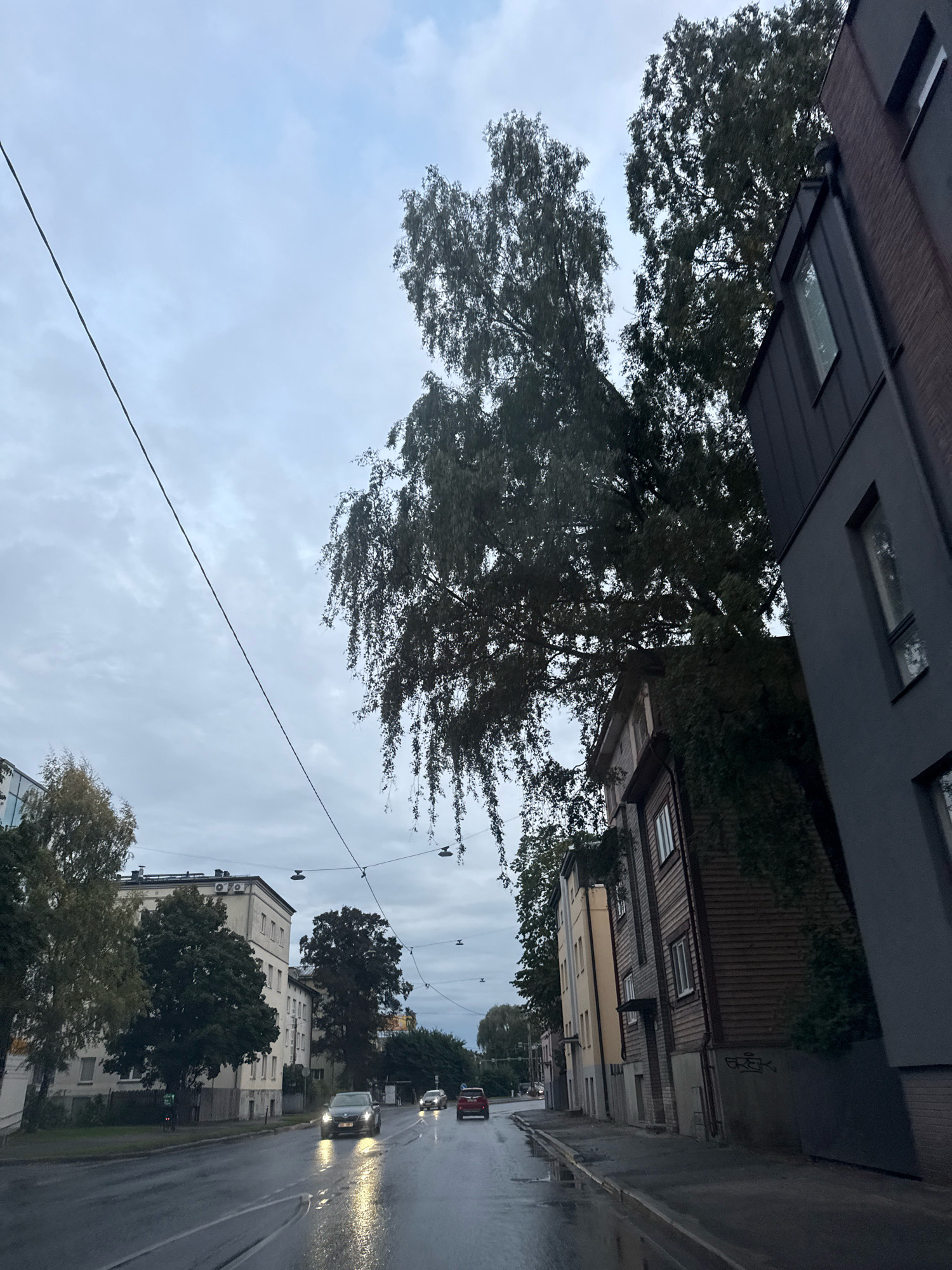 The image depicts a street scene in Tallinn, Estonia, under an overcast sky, with wet pavement indicating recent rain. The perspective is from a vehicle moving along the road. On the right side of the street, there are modern buildings with dark grey and brick facades, interspersed with older wooden structures with visible window frames and some ivy growth. Tall trees, including a weeping birch, loom over the buildings and the street, their leaves dark and somewhat sparse.
The road itself is wet and reflects the headlights of approaching vehicles. Several cars are visible on the road. In the foreground, a black car with its headlights on is the most prominent. Further down the road, other vehicles, including a red car, are also visible. On the left side of the road, there is a large, light-colored apartment building with multiple windows and air conditioning units on the facade. Between this building and the road, there are trees with autumnal foliage.
Overhead, power lines crisscross the sky, supported by poles. The overall atmosphere is subdued, consistent with a cloudy or rainy day. No people are clearly identifiable in the scene, though a cyclist may be present on the far left sidewalk. The architecture and the presence of trees suggest an urban residential or mixed-use area.