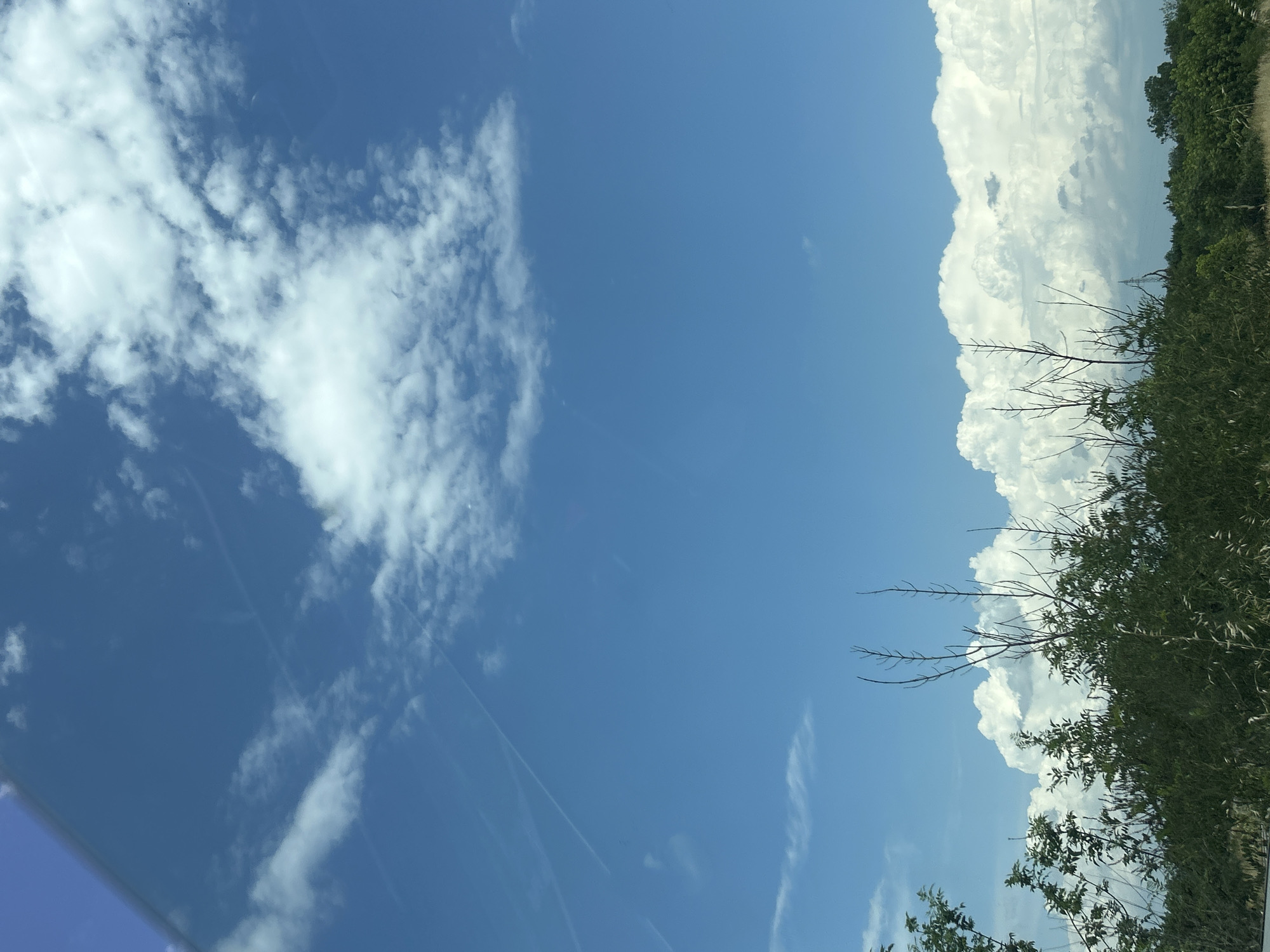 The image depicts a rural or semi-rural landscape in Tsaratsovo, Bulgaria, dominated by a clear blue sky with varied cloud formations. The upper two-thirds of the frame are occupied by an expansive, bright azure sky. Scattered white, cumulus clouds are present throughout the upper sky, with several faint, linear contrails from aircraft visible, particularly in the upper-left quadrant. A large, dense bank of white cumulus clouds with darker grey undersides occupies the lower portion of the sky, extending horizontally across the frame and partially obscured by foreground vegetation.
The lower third of the image is comprised of a dense green landscape primarily consisting of deciduous trees and shrubs. The foliage forms a continuous line, suggesting a natural boundary or a field edge. Several slender, mostly bare branches of taller plants or small trees extend vertically above the main canopy of green leaves, particularly in the central-left area. The lighting indicates a bright, sunny day, likely midday or early afternoon, with clear distinctions between illuminated and shadowed areas on the clouds and foliage. No human subjects, animals, or man-made structures are overtly visible within the natural landscape. A subtle, angled reflection, possibly from a window or windshield, is present in the upper-left corner, causing a slight blurring and darkening of the sky in that specific area.