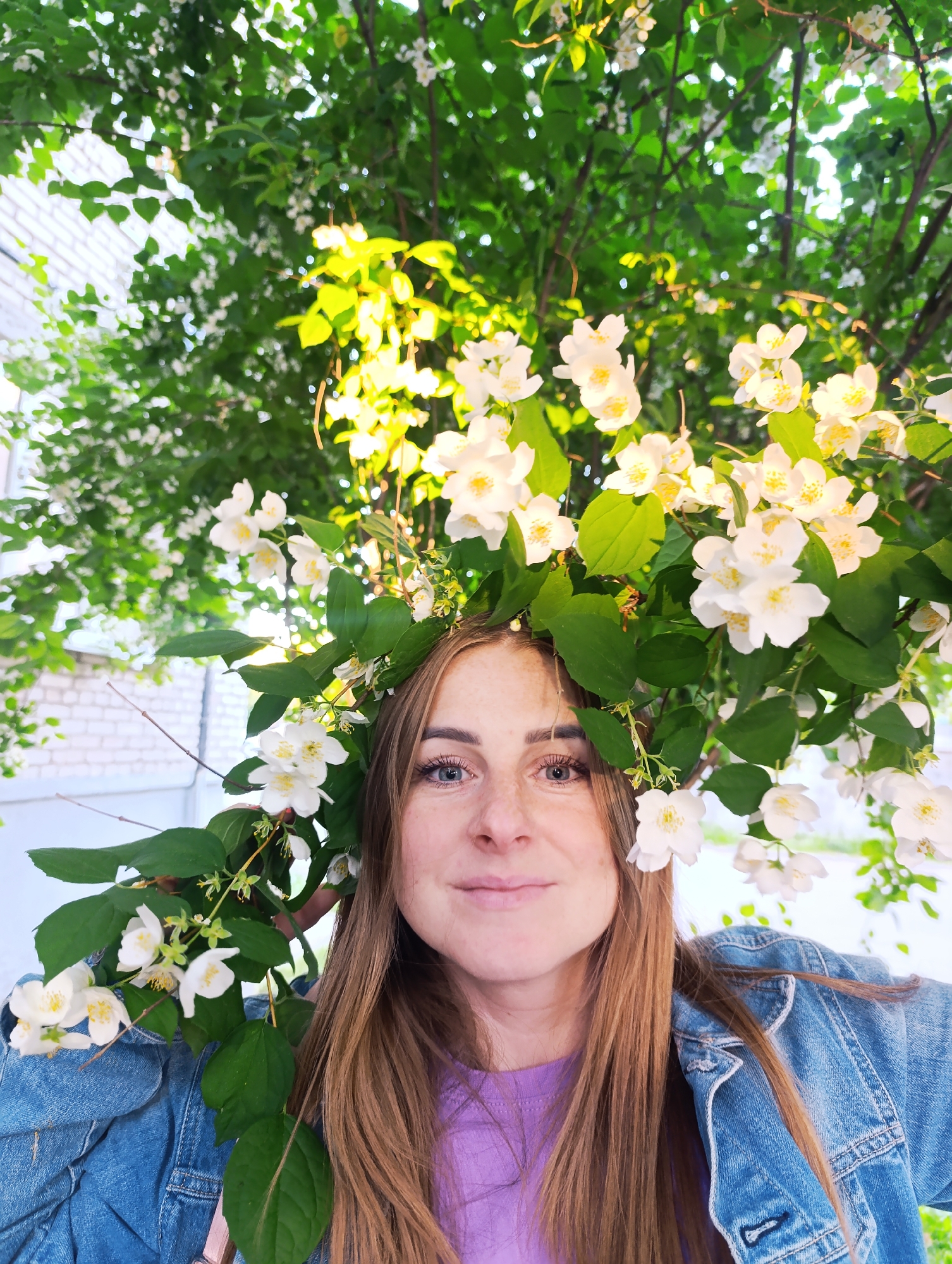 In Chernogolovka, Russia, a young Caucasian woman with light brown hair and fair skin is photographed from the chest up. She is wearing a purple t-shirt and a denim jacket. Her hair is long and falls around her shoulders. She has a light smile on her face and her eyes are open, looking towards the camera. A crown of white jasmine flowers and green leaves adorns her head, extending around her face and over her shoulders. The background consists of a dense canopy of green leaves and white blossoms, with dappled sunlight filtering through. To the left, a white brick wall is partially visible. The overall setting appears to be outdoors, possibly in a garden or park.