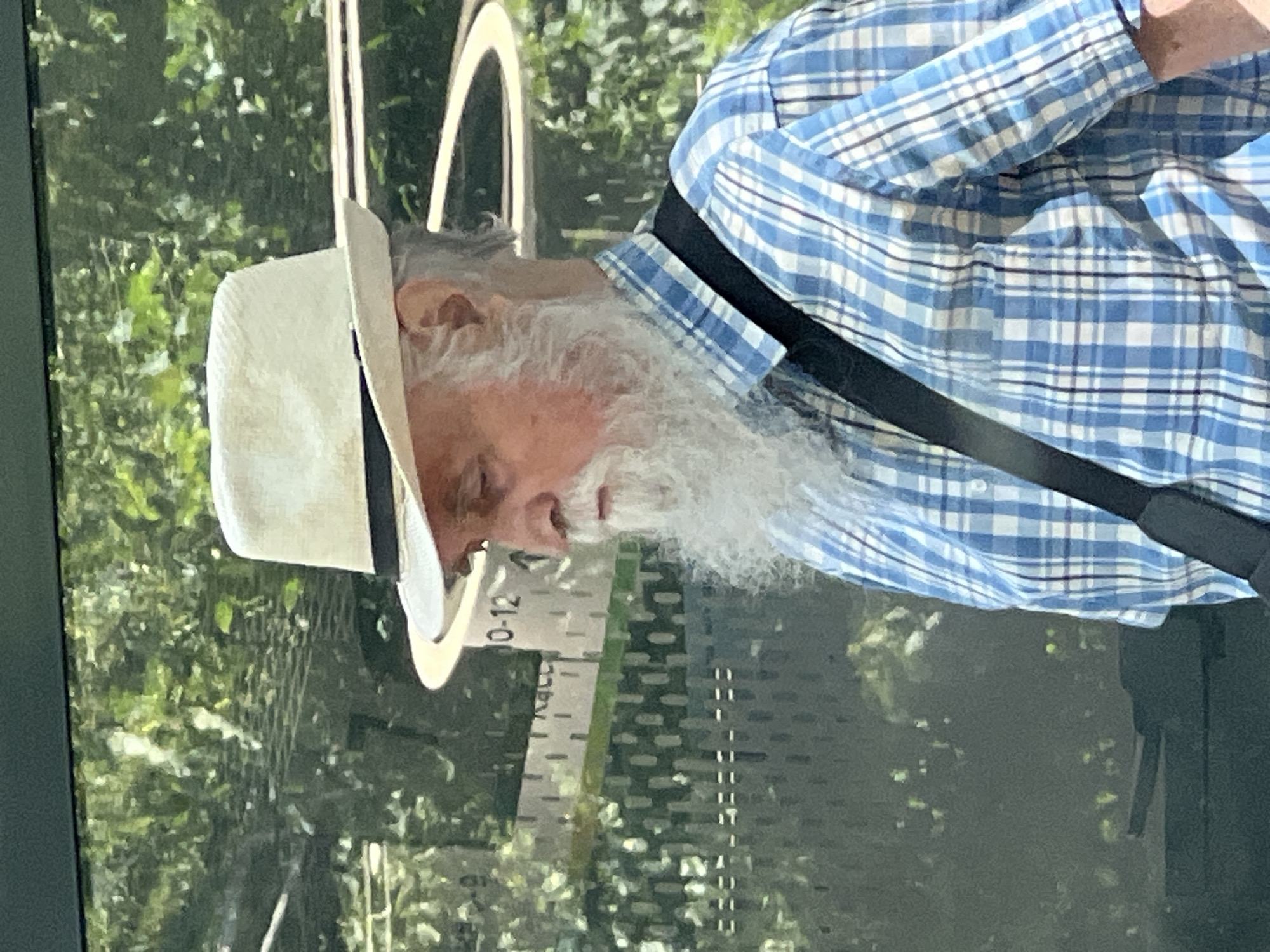 An elderly man with a long white beard and a white straw hat with a black band is shown from the chest up, in profile. He is wearing a blue and white plaid shirt and a black strap crosses his chest, suggesting he is carrying a bag. He is standing in front of a reflective surface, possibly a bus stop shelter or window, which shows a blurred background of green foliage and what appears to be a measurement scale with the numbers "10-12" visible. The scene is outdoors, likely in a public space within the city of Krasnodar, Russia, judging by the context of the request.