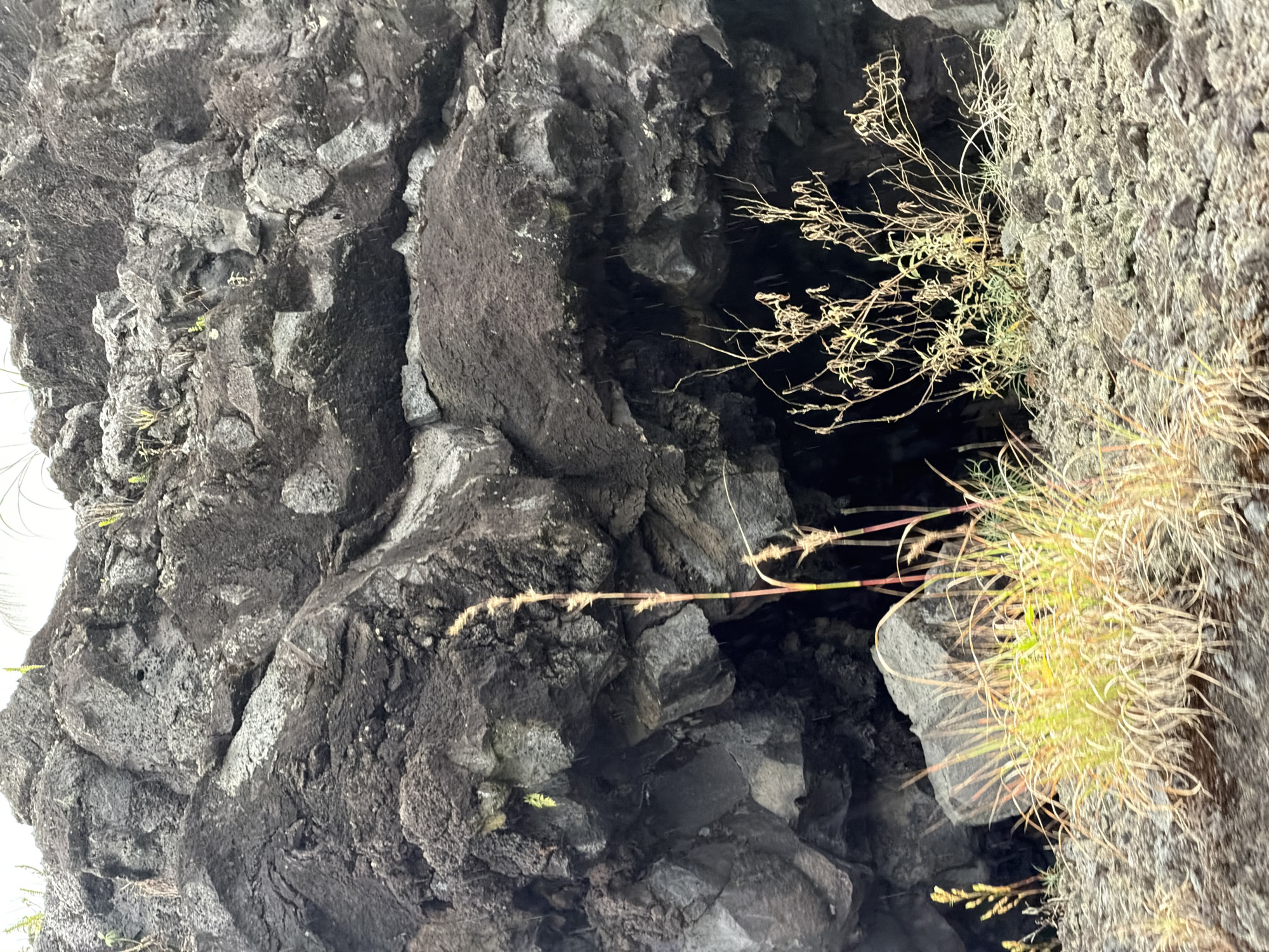 A close-up, eye-level, medium shot captures a section of a rocky, uneven terrain with vegetation. The primary subject is a large, dark, porous volcanic rock formation, likely lava rock, which dominates the upper two-thirds of the frame. The rock face is textured and irregular, with visible cracks, crevices, and what appears to be a dark opening or cave entrance in the center. Some small green plants and dry, straw-colored grass are growing in clumps in the foreground and around the base of the rock formation. The lighting is somewhat overcast, with a bright sky visible at the very top, suggesting an outdoor environment. The scene is devoid of any human presence or activity. The location is identified as the city of Kintamani, Indonesia.
