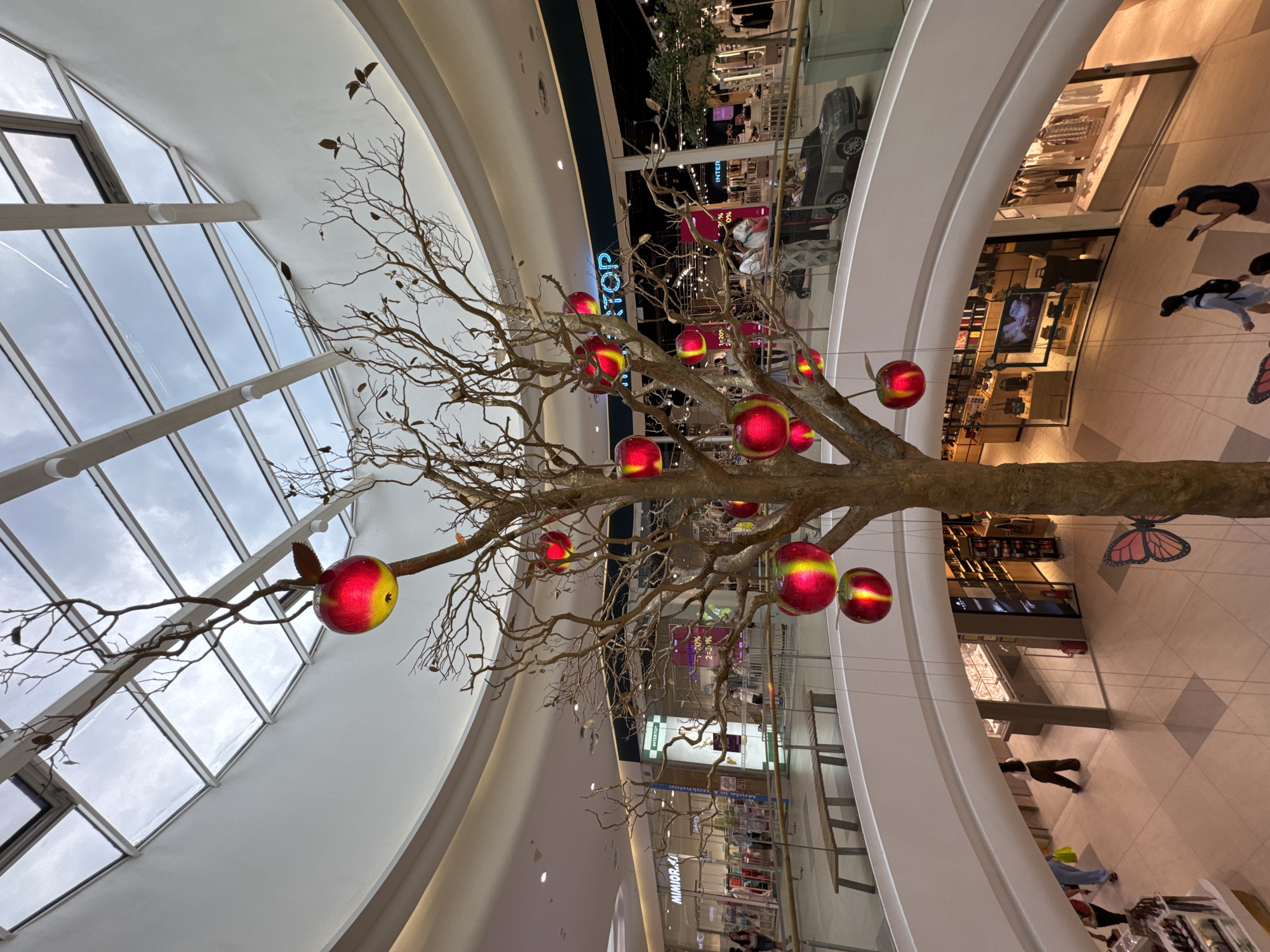 This vertical, medium shot captures a decorative, bare-branched tree adorned with oversized, red and yellow spherical ornaments, resembling apples. The tree is centrally positioned within a multi-level indoor shopping mall, as indicated by the architecture of curved balconies, glass railings, and storefronts visible in the background. A large, angled skylight dominates the upper left portion of the image, allowing natural light to filter in.
Several people are visible on different levels of the mall, appearing as small figures moving about their day. Some are walking, while others seem to be browsing shops. One person is seen looking at their phone, another is wearing a backpack, suggesting casual shopping or travel. A large, decorative butterfly decal is visible on the floor of a lower level, adding to the mall's ambiance.
Visible text includes signage for "MIMIOR" and "INTER," as well as promotional percentages like "20%" and "2=31%." The overall impression is a bright, modern indoor commercial space with a whimsical, decorative element. The time of day is not explicitly stated, but the lighting suggests daytime. There are no indications of specific weather conditions as the scene is entirely indoors. The emotions conveyed are neutral, focusing on the visual elements of the space and its occupants.