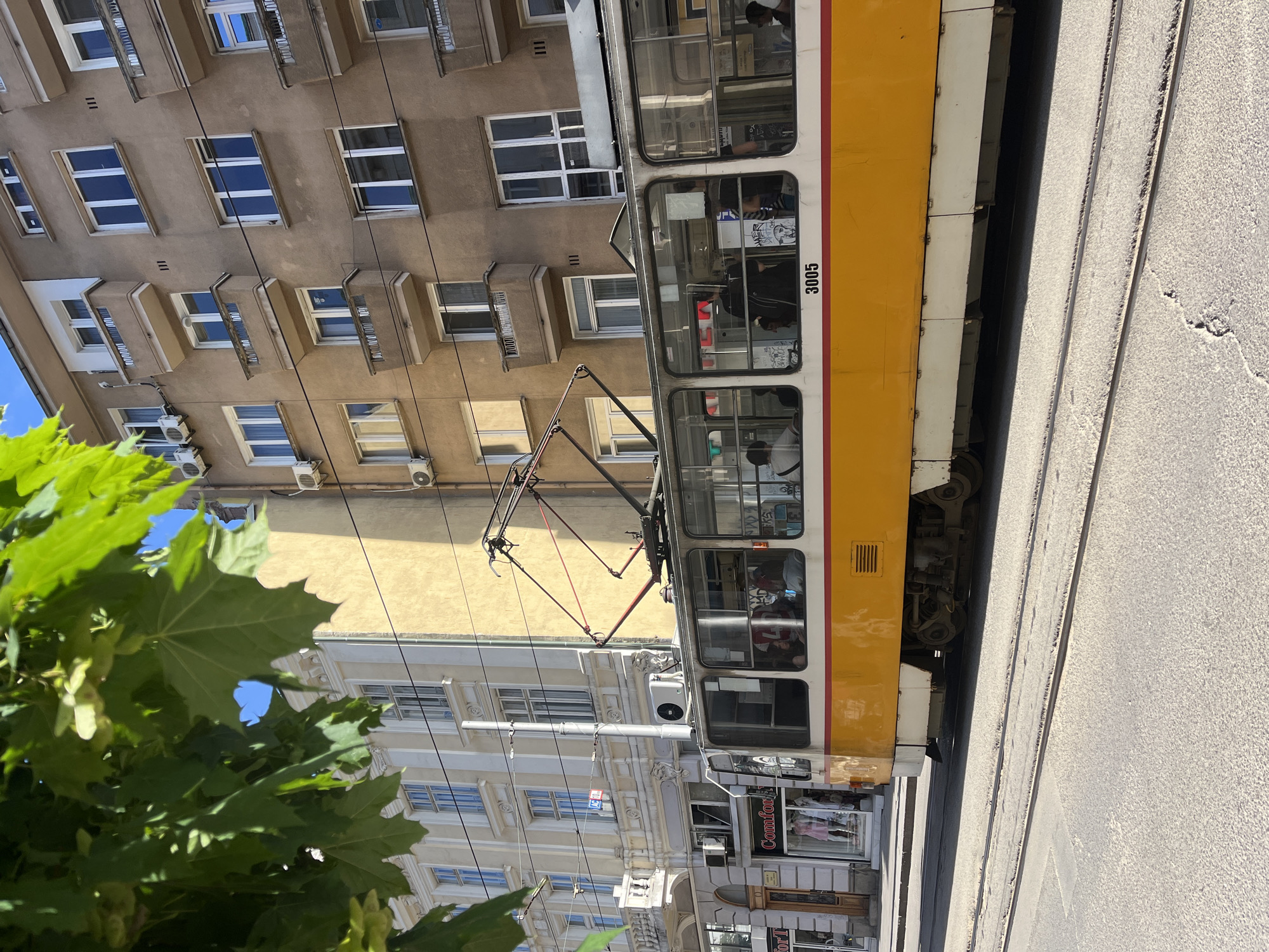 The image captures a yellow and white tram, numbered 3005, on a street in Sofia, Bulgaria. The tram is running alongside a building with multiple windows and protruding balcony-like sections, some of which have air conditioning units attached. A street level facade featuring signage and shop windows is also visible on one of the buildings. Foliage of a tree appears in the foreground on the left. Overhead electrical wires are also visible. The street appears paved and the scene is bathed in daylight. People are visible inside the tram.