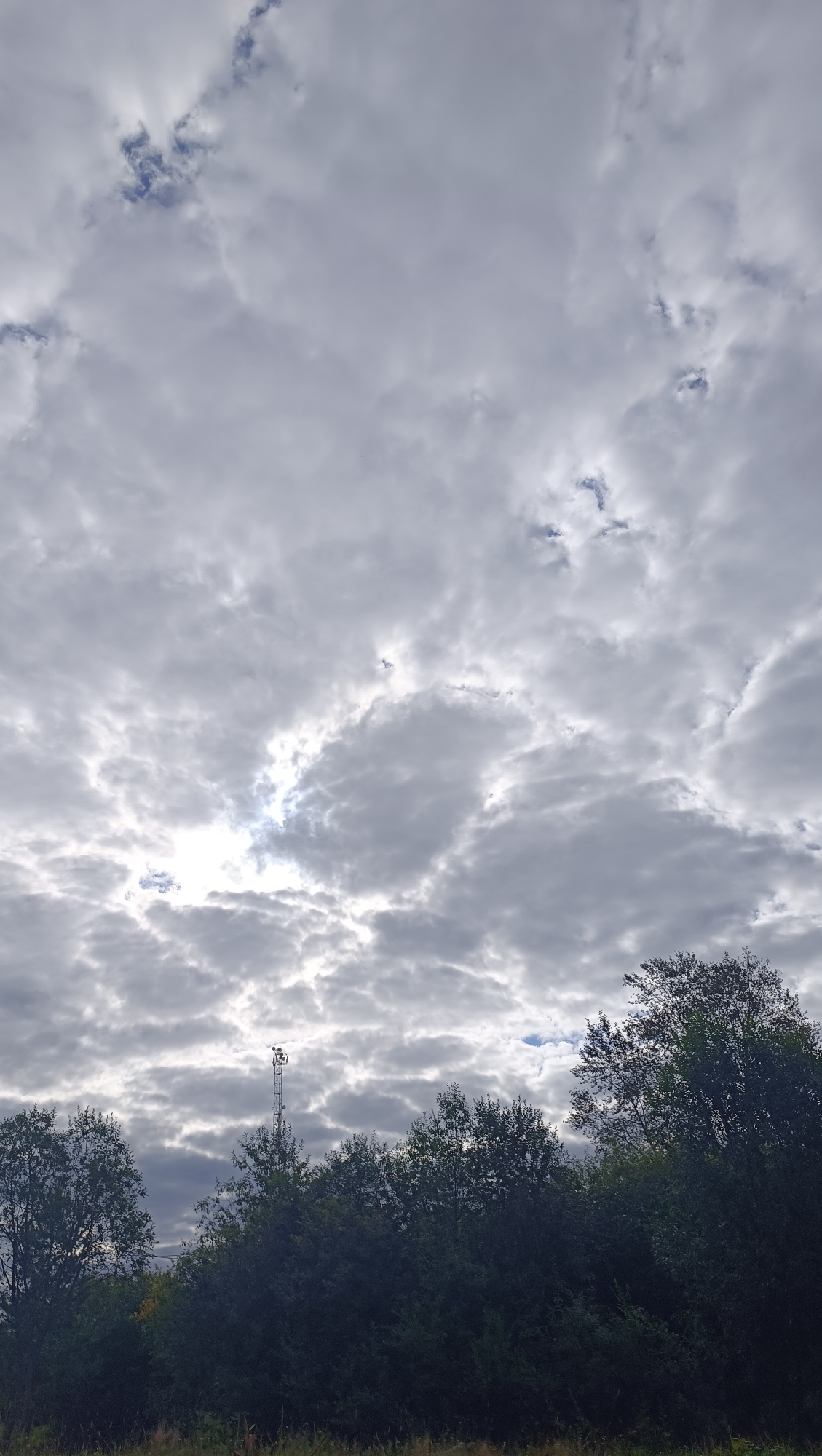 The image depicts a view of the sky above a treeline with a cell tower visible. The sky is filled with gray, textured clouds, with patches of brighter sky and sunlight breaking through in the upper portion. Below the sky, a dense line of dark green trees stretches across the frame. Centered within the treeline is a tall, slender cell tower with antennas at its apex. The foreground is out of focus, showing hints of dry grass and vegetation. The scene appears to be an outdoor, natural environment, possibly on the outskirts of a city or in a rural area. The image is a vertical composition, emphasizing the expanse of the sky. There are no people or animals visible in the frame.