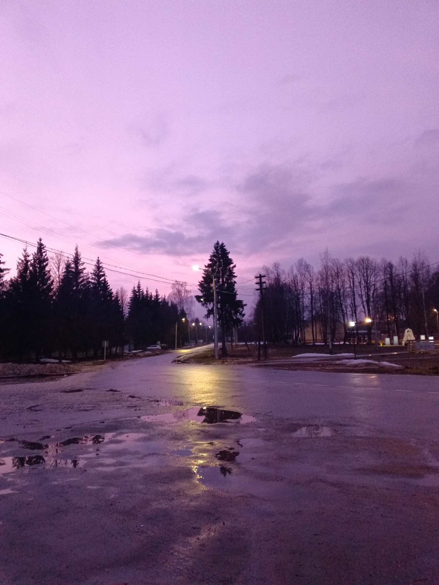 The image depicts a street intersection in Krasny Mayak, Russia, at twilight or dawn. The sky is a gradient of purple and pink, suggesting either sunrise or sunset. The intersection is wet, with puddles reflecting the ambient light and streetlights. A line of coniferous trees borders the left side of the road, while deciduous trees line the right. Overhead power lines are visible against the sky. Streetlights illuminate the scene, casting a yellow glow on the wet pavement. Patches of snow or ice are visible on the ground along the sides of the road. There are no people visible in the image.