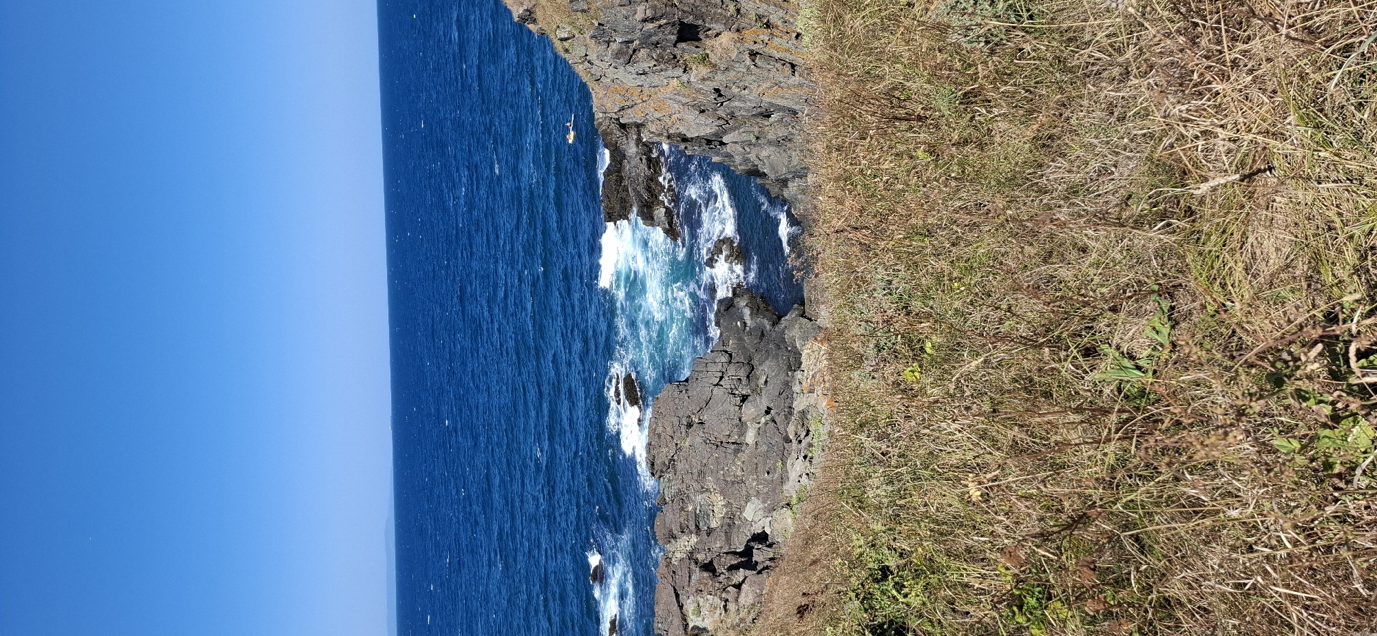 This image captures a serene coastal scene near the town of Sozopol, Bulgaria. The vast expanse of the deep blue sea dominates the upper half of the frame, with gentle waves lapping against a rocky shoreline. In the distance, a lone figure is visible in a small boat, enjoying the tranquil waters. The foreground is characterized by dry, sun-bleached grasses and rugged, dark rocks, characteristic of the Bulgarian coastline. The clear blue sky above suggests a warm, sunny day, contributing to the overall peaceful ambiance.