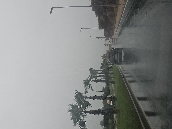 A long, wet roadway scene shows cars driving in the rain. Palm trees line a grassy median beside the road. Streetlights stand tall on either side of the road. The sky is overcast and grey, and the rain obscures distant views. The road surface is slick and reflective.