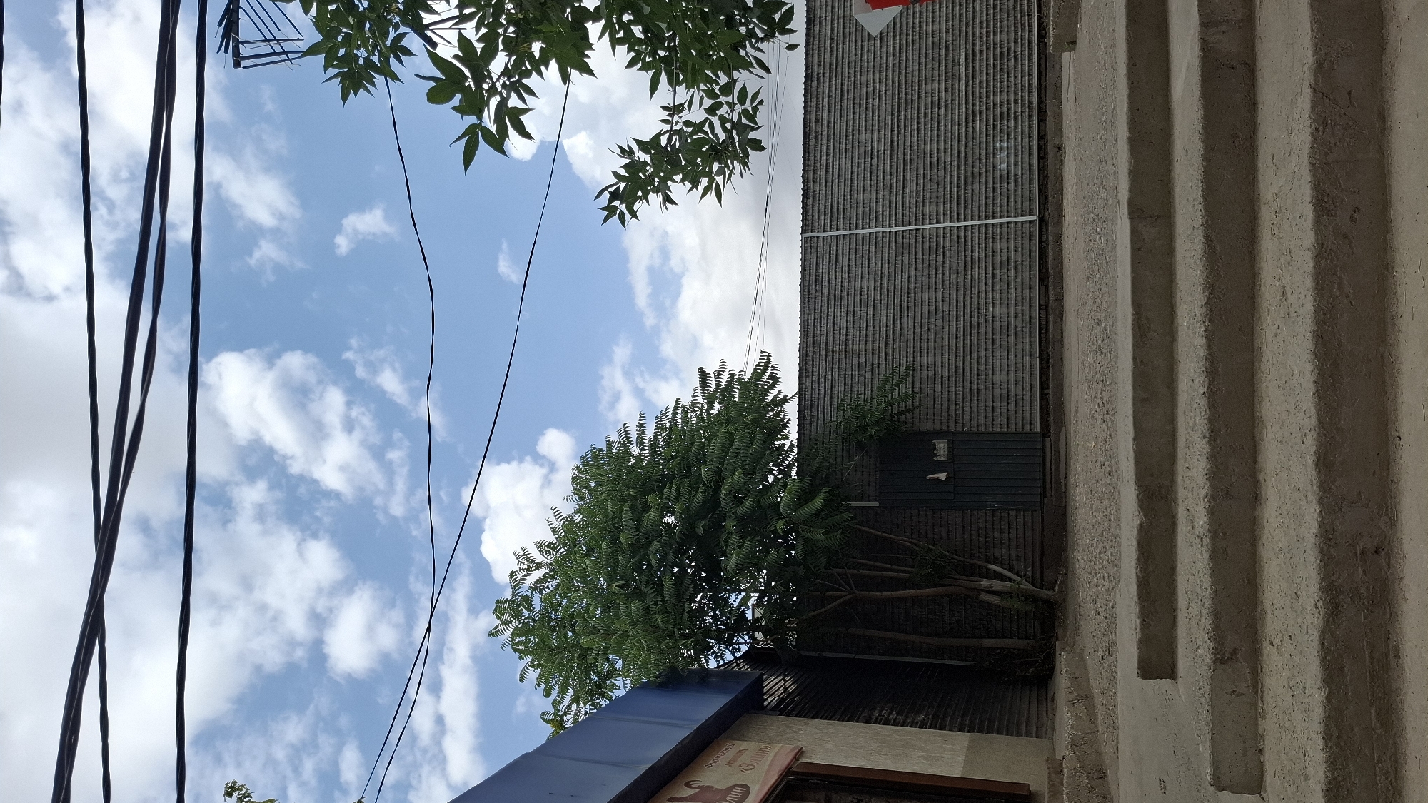 This is a full-shot, eye-level, outdoor photograph of a shaded area with a large, grey, corrugated metal wall occupying the middle ground. To the left of the wall, a small, green door is visible, with a tall tree with dense, green foliage in front of it and slightly to the left. A portion of a building with a blue overhang and grey walls is visible to the far left. In the foreground, a set of concrete steps leads up to a slightly elevated concrete area. The sky above is blue with scattered white clouds, and several black power lines are strung across the top of the frame. The image appears to be taken in the city of Shymkent, Kazakhstan, suggested by the specific architectural style and the presence of power lines commonly seen in urban areas of the region. There are no people or animals visible in the scene.