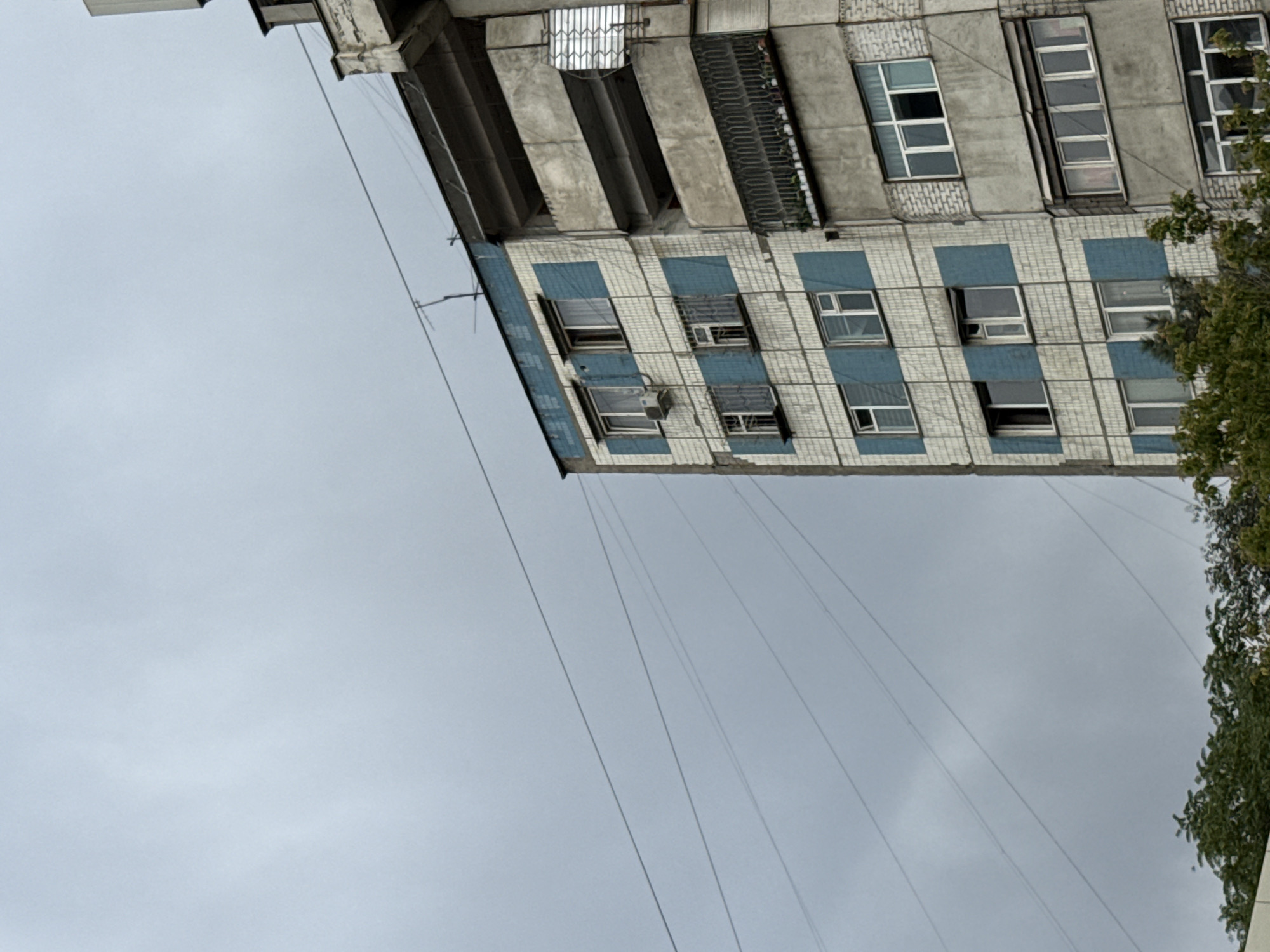 The image shows a detail of a multi-story apartment building in Bishkek, Kyrgyzstan, under an overcast sky. The building's facade is constructed with light-colored tiles, accented by horizontal bands of blue tiles. Various windows, some with security bars and air conditioning units, are visible. A balcony with metal railings and a row of potted plants is present on the right side of the building. Overhead, several power lines crisscross the sky. Below the building, the tops of lush green trees are visible.