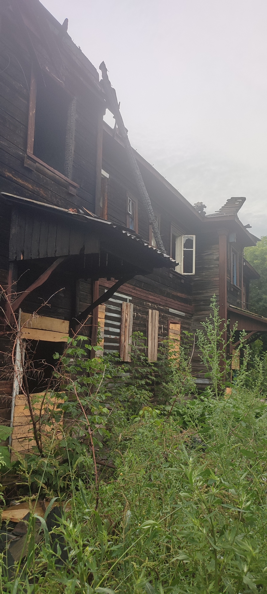 The image shows a severely damaged wooden building, likely abandoned or a victim of a fire, located in Novoaltaysk, Russia. The wooden siding is dark and charred in many places, indicating fire damage. Parts of the roof are missing or collapsed, exposing the interior structure. Several windows are boarded up with rough wooden planks, while others are open or broken. A metal corrugated roof extends over a porch area, also showing signs of wear and tear. The building is overgrown with dense green vegetation, including tall grasses and leafy plants, suggesting it has been neglected for some time and is being reclaimed by nature. The sky is overcast and pale. No people are visible in the image. The scene conveys a sense of decay and disrepair.
