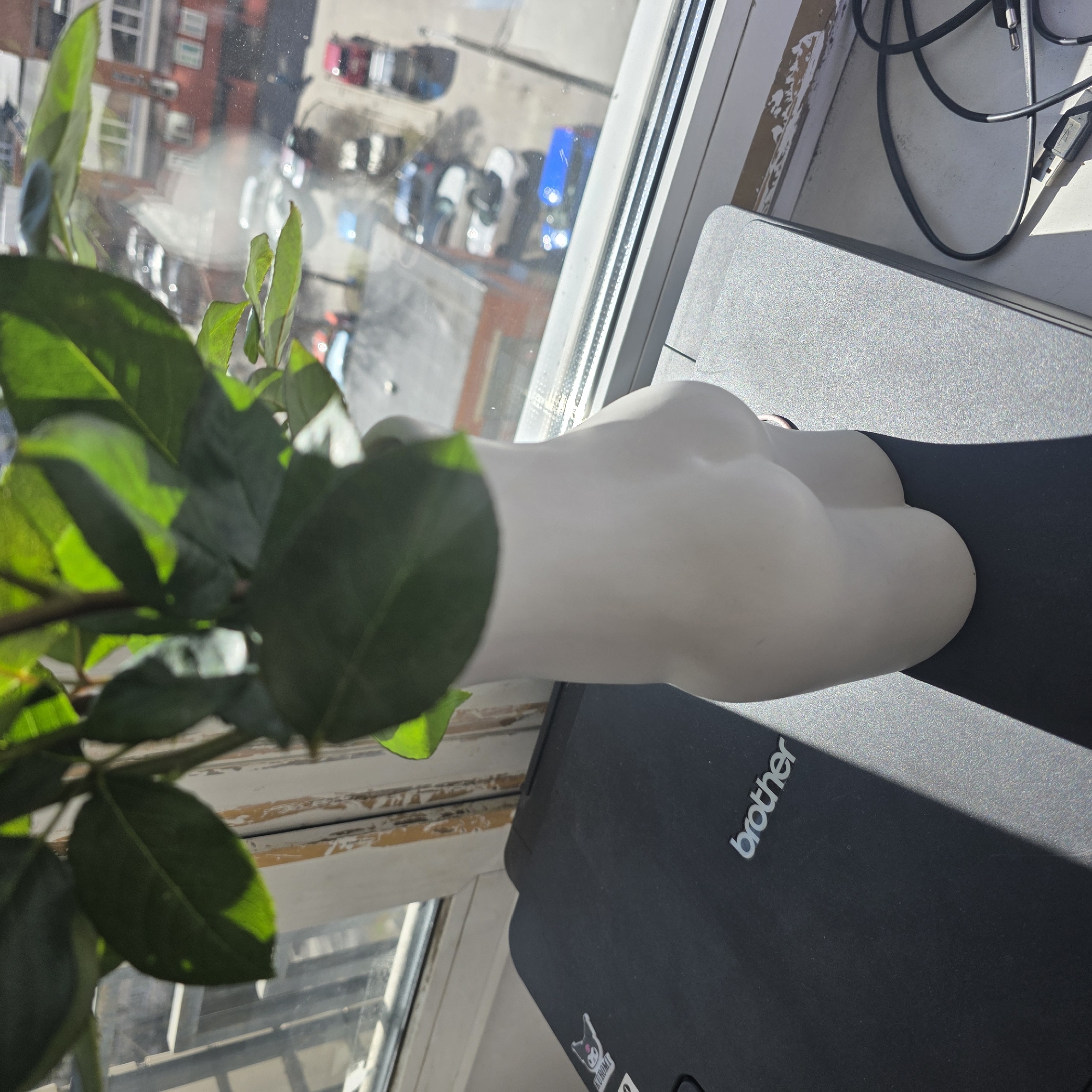 The image shows a view from inside a building, presumably in Saint Petersburg, Russia, based on the architecture visible through the window. The scene is dominated by a plant in the foreground, with lush green leaves obscuring part of the view. Behind the plant, a window offers a glimpse of a cityscape featuring buildings and parked cars, some of which are blue, white, and red. On the window sill, there is a printer with the brand name "Brother" visible. A white, amorphous object, possibly a vase or decorative item, is also present. A laptop is partially visible in the background, along with tangled cables. The overall lighting suggests a sunny day.