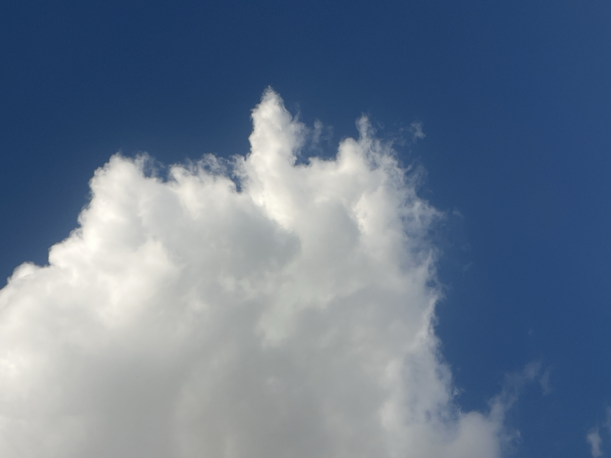 The image shows a close-up view of a bright white cumulus cloud against a deep blue sky. The cloud occupies the left and upper portions of the frame, with its right edge sharply defined and extending slightly into the sky. The texture of the cloud is detailed, with lighter, fluffy areas and darker, more dense sections visible. The sky is a uniform, vibrant blue, characteristic of a clear day. There are no discernable landmarks or elements that would allow for identification of a specific location within Tikhoretsk, Russia. The scene is devoid of any human presence, objects, or actions. It is a naturalistic depiction of a cloud formation.