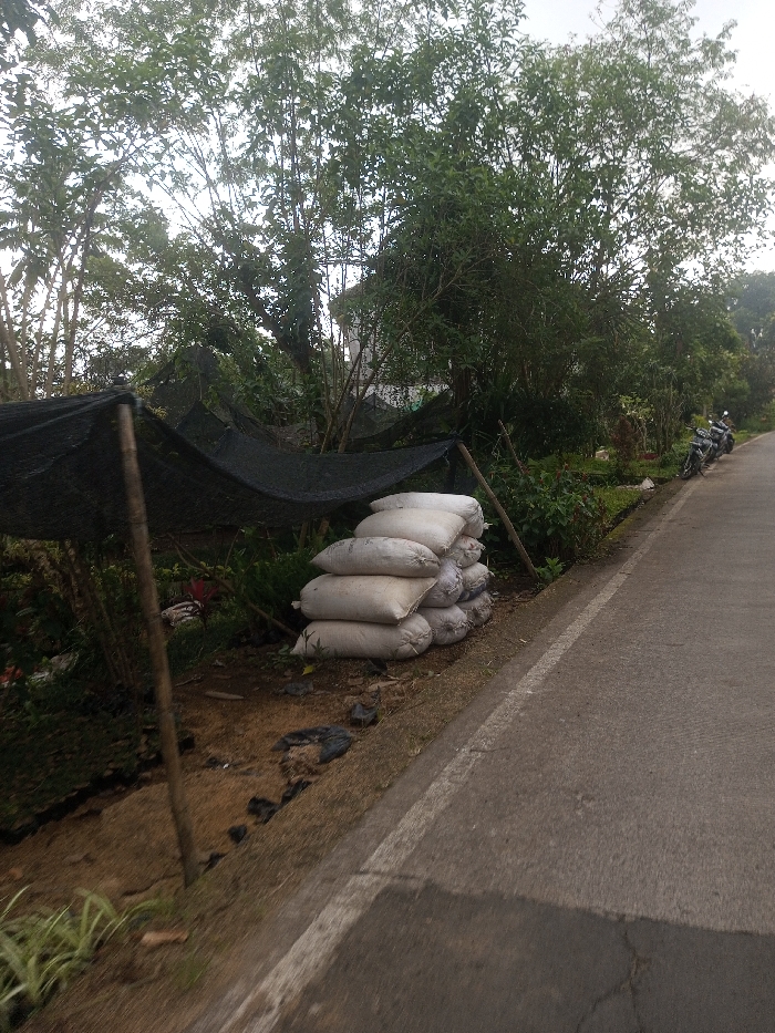 The image presents a static roadside scene in Nuwara Eliya, Sri Lanka, under diffused daylight conditions. A dark grey asphalt road occupies the right side, delineated by a faded white continuous line marking its edge. To the immediate left of this line, on a brown dirt verge, approximately twelve to fifteen off-white or light-colored sacks are stacked in a pyramid formation. Further left, a structure composed of black mesh netting, likely a shade cloth, is suspended by several wooden poles, partially covering an area of cultivated ground with green vegetation. The ground around the sacks and beneath the netting consists of disturbed brown earth with scattered dark debris. Dense green trees and various bushes form a verdant backdrop, obscuring much of the distant view. A light-colored building is partially visible through the foliage in the upper-center. Two dark-colored motorcycles are parked upright on the asphalt shoulder on the far right side of the road. No individuals are present in the scene.