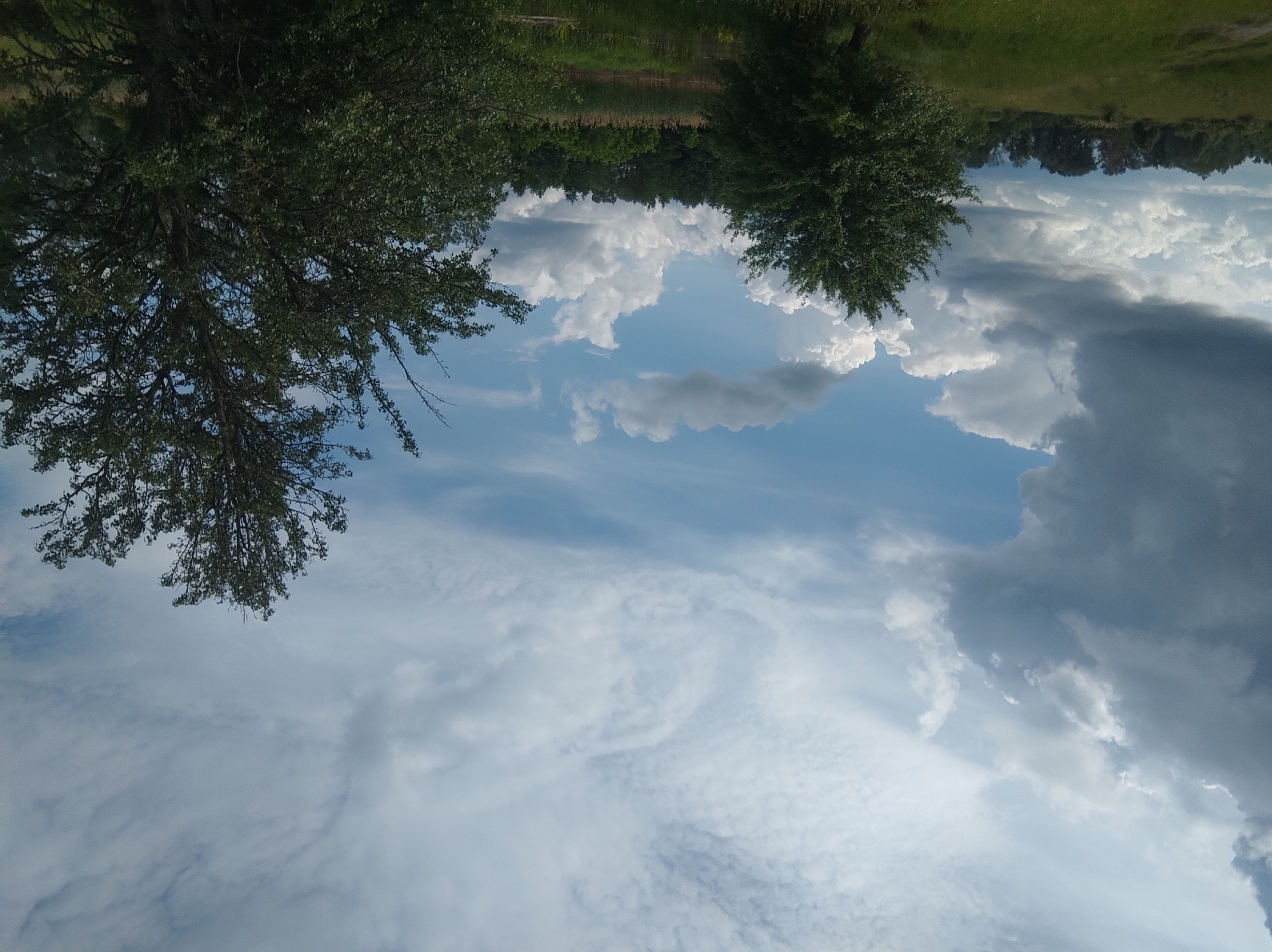 An outdoor, eye-level, full shot captures a landscape under a partially cloudy sky. The sky is a blend of blue and white, with dramatic dark clouds in the upper left and fluffy white clouds scattered across the horizon. In the foreground, a lush green grassy field stretches out, with a dirt path visible on the left. A dense line of trees forms the horizon, with a body of water, possibly a pond or river, partially obscured by reeds in the middle ground. Two large, leafy trees dominate the right side of the frame, their branches reaching towards the sky. The scene appears to be a natural setting within the city of Unknown, Unknown.