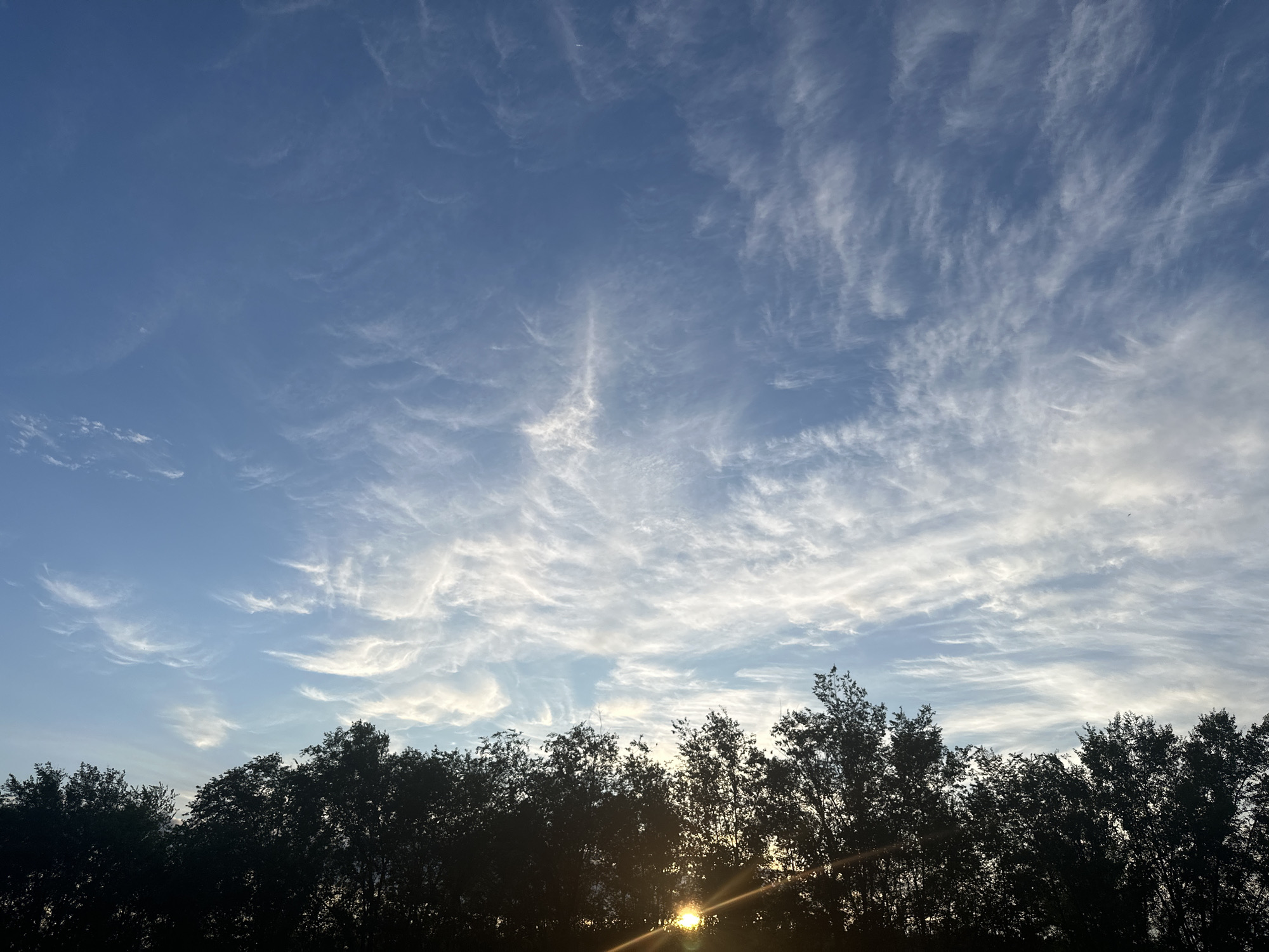 This is a landscape photograph featuring a silhouetted treeline against a vast, blue sky filled with wispy, white clouds. The sun is setting or rising, casting a warm glow through the trees and creating lens flare effects. The clouds are scattered and appear thin, suggesting fair weather conditions and a potentially windy sky. The trees are dense and dark, their leaves forming an intricate pattern against the bright sky. The overall mood is serene and tranquil, evoking a sense of natural beauty and the peaceful transition between day and night. There are no visible people, objects, or text in the image.