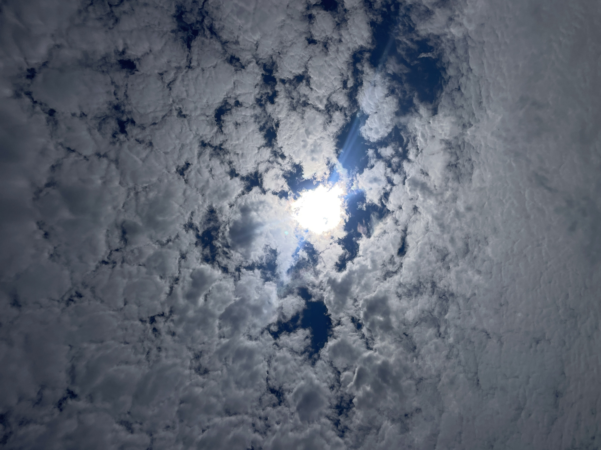 The image shows a sky filled with fluffy, white cumulus clouds interspersed with patches of deep blue sky. The sun is visible, partially obscured by clouds, creating a bright, glowing effect with visible light rays. The clouds appear to be arranged in a somewhat textured, almost rippled pattern across the frame. There are no people, structures, or discernible landmarks visible in the image, suggesting it is a wide-angle shot focused solely on the sky. The scene is devoid of any specific location markers that would pinpoint it to Diepenbeek, Belgium.
