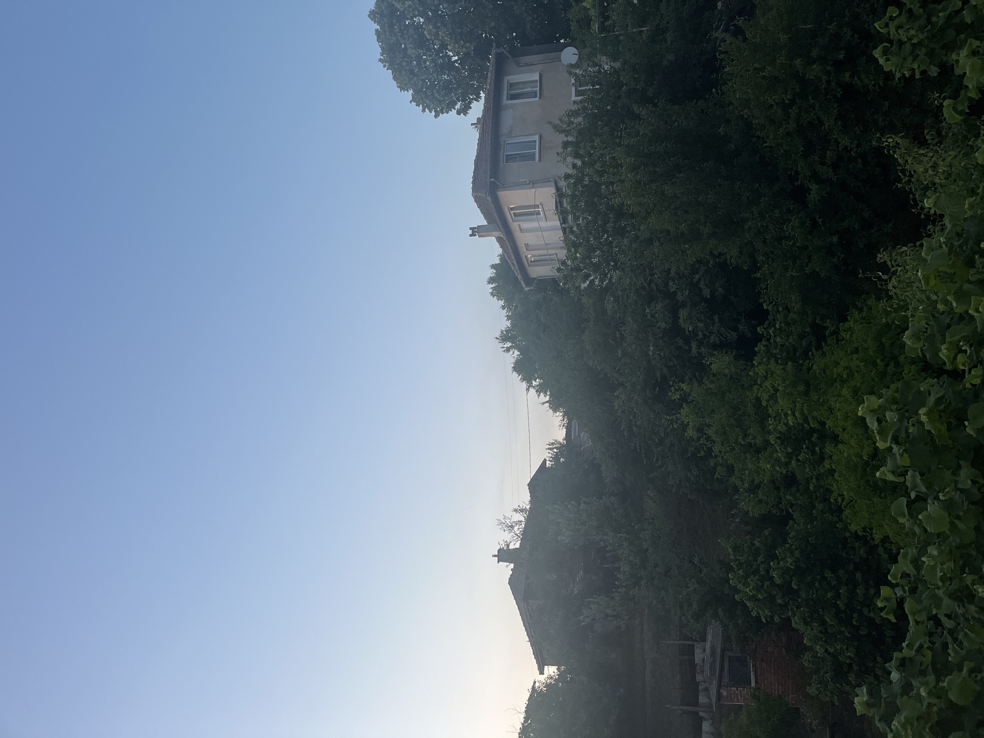 This image depicts a residential landscape in Varshilo, Bulgaria, under a clear, gradient blue sky indicative of dawn or dusk. The scene is dominated by dense, dark green deciduous trees and varied foliage that obscure the ground and much of the structures. On the left, a two-story building with a dark-tiled roof and a central chimney is largely hidden by the surrounding trees. To the right, a more prominent two-story, light-colored house features a terracotta-tiled roof, two chimneys, multiple white-framed windows, and a small balcony on its upper level. A white satellite dish is affixed to the right side of this house. In the lower-left foreground, a small, red-brick structure with a dark roof and a single window is partially visible amidst the dense greenery. Faint electrical or communication lines are discernible stretching across the sky between the structures. The immediate foreground shows large, vibrant green leaves, consistent with ground cover or garden plants. No people or animals are present.