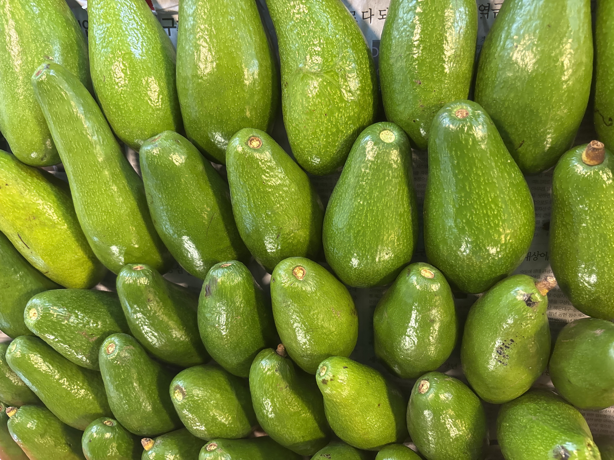 The image shows a pile of green avocados of varying sizes and shapes, likely at a market or grocery store. The avocados are arranged closely together, some with stems still attached. The background is slightly blurred, with some visible Korean newspaper print beneath the fruits. There is no indication in the image that the location is in the city of บ้านบางรักษ์, Thailand.