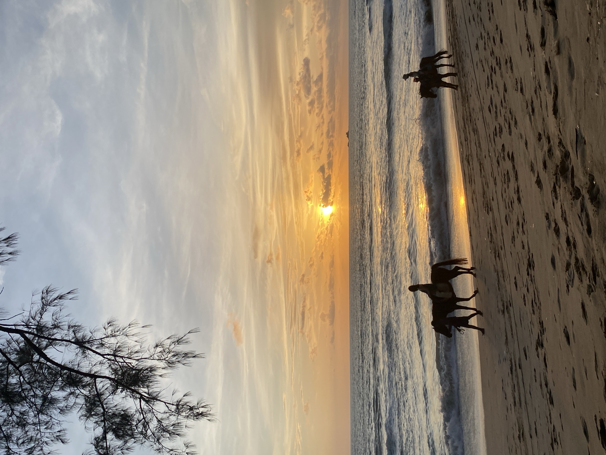 This media file depicts a tranquil beach scene at sunset in Choeng Thale, Thailand. The image is oriented vertically, with the sky and sea on the left and the sandy beach on the right. The setting sun casts a warm, golden glow across the sky, illuminating wispy clouds in hues of orange and yellow. The sea is calm, with gentle waves lapping at the shore, reflecting the vibrant colors of the sunset.
In the foreground, silhouetted against the glowing sky, are two individuals riding horses along the wet sand at the water's edge. The horses and riders are dark figures, adding a dramatic contrast to the soft light of the sunset. The beach itself is covered in fine sand with visible footprints, suggesting recent activity. To the far left, the dark branches and foliage of a tree extend into the frame, partially obscuring the sky.
The overall mood is serene and peaceful, evoking a sense of calm and natural beauty. The time of day is clearly sunset, characterized by the warm, low-angled light and the colors in the sky. The weather appears to be clear, allowing for unobstructed views of the sunset. The location is confirmed as a beach in Choeng Thale, Thailand, with the presence of the ocean, sand, and tropical foliage supporting this context. There is no visible text in the image.