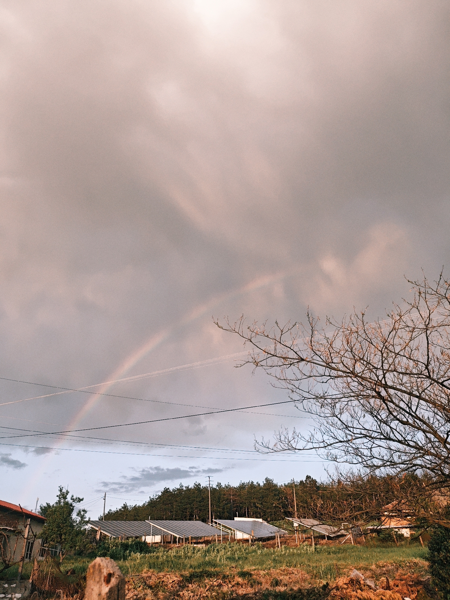 The image shows a landscape with a rainbow stretching across the sky. In the foreground, there is vegetation and a leafless tree. Behind that are what appear to be solar panels lined up in rows. Further back, there's a line of trees and a building. Power lines cross the frame in the middle ground. The sky is cloudy, with a pinkish hue at the top, possibly indicating sunrise or sunset. There is no known city or location mentioned.