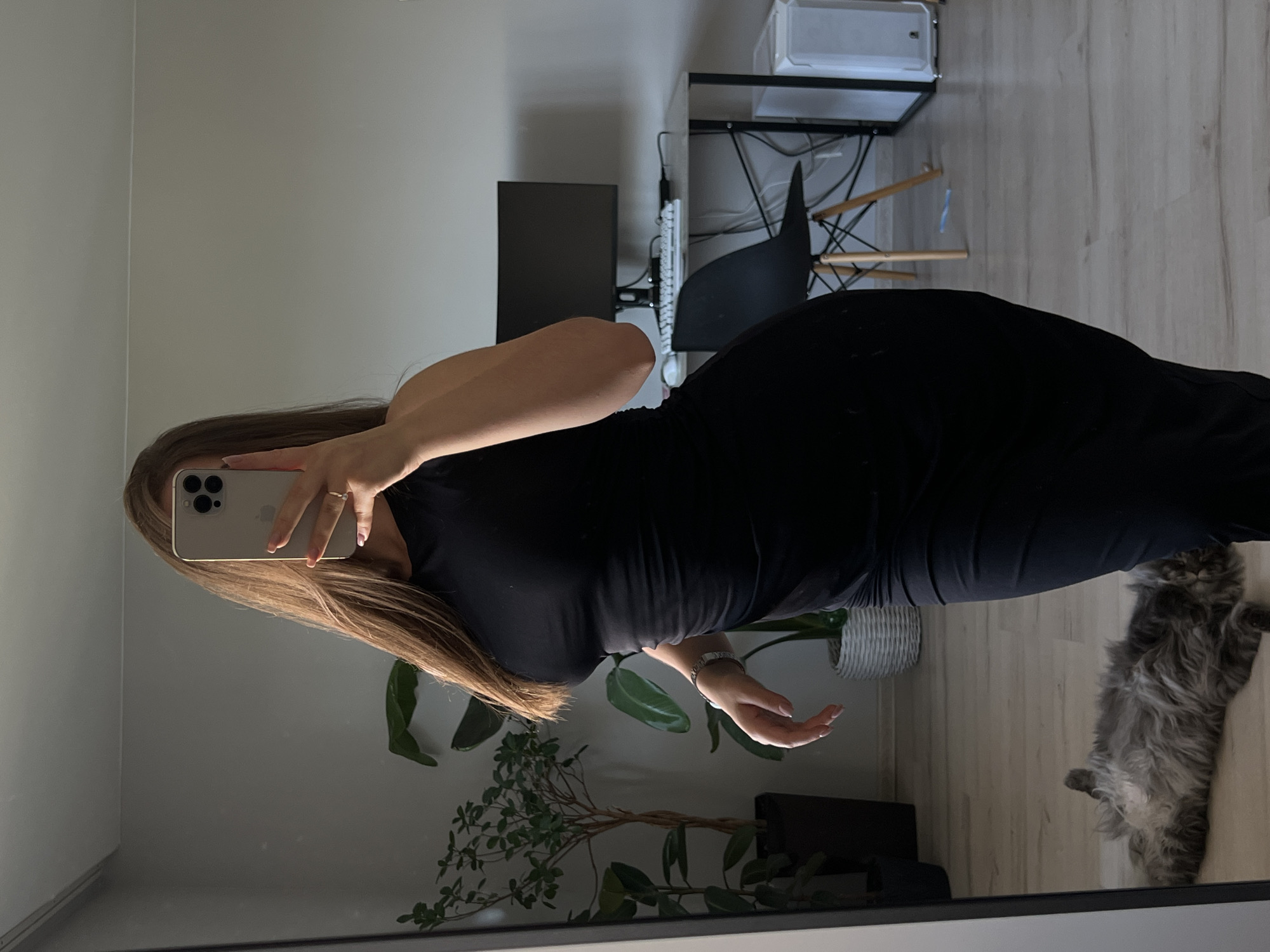 The image shows a woman in a black dress taking a selfie in a mirror. She is holding a silver iPhone in her left hand, with her right hand resting on her hip. Her long, blonde hair is falling over her shoulder. In the background, there is a desk with a computer monitor, keyboard, and mouse. There is also a chair and a cat lying on the floor. The room appears to be a home office or living space. The lighting suggests it is daytime. There is no visible text in the image.