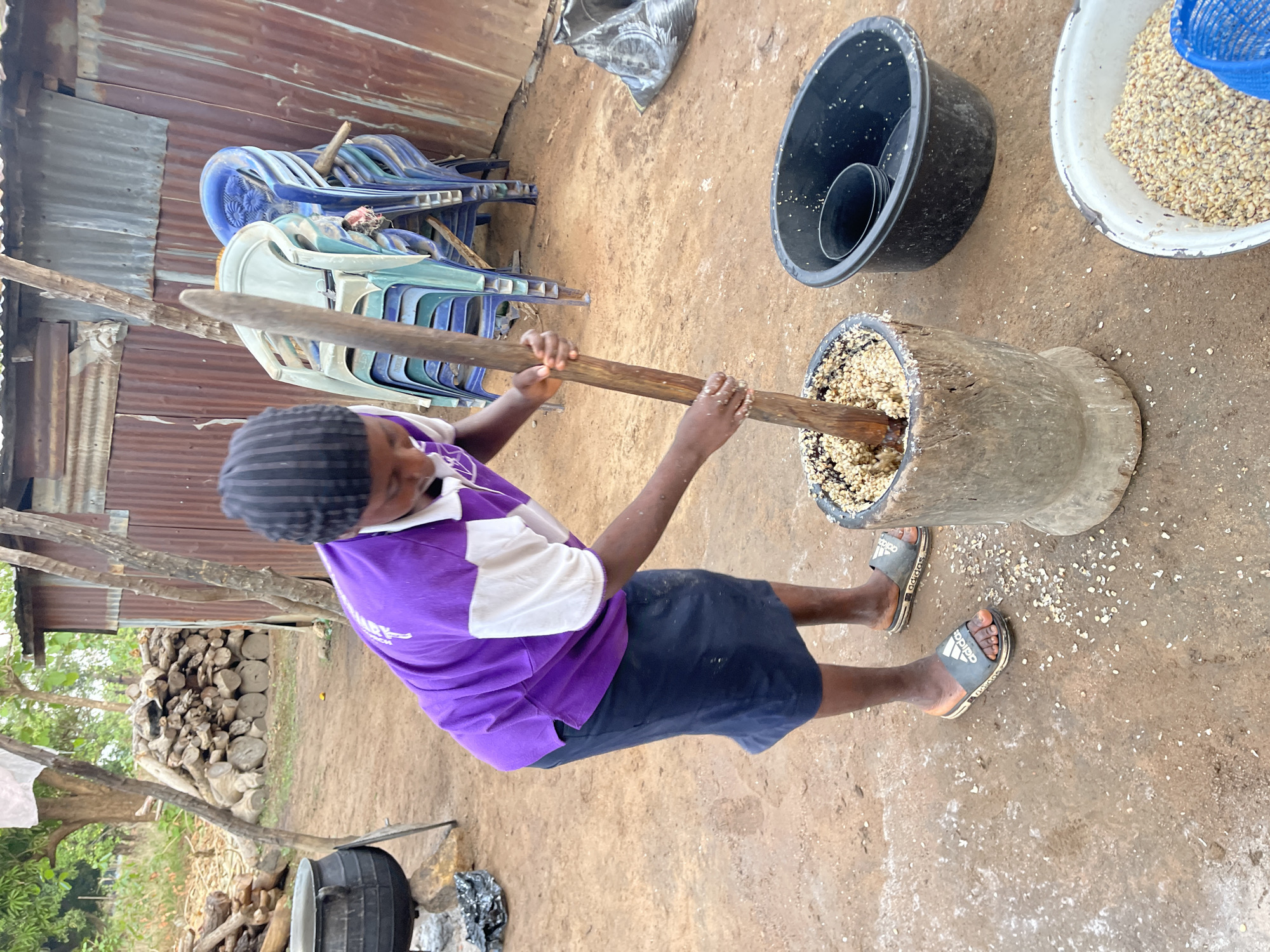 The image captures a young person engaged in traditional food processing outdoors in Tabu, Nigeria. The central figure, with dark skin, wears a purple and white short-sleeved polo shirt, dark shorts, and grey slides with the "adidas" logo. They are actively pounding light-colored grains, likely maize or millet, in a large, dark wooden mortar using a long, thick wooden pestle. Both hands grip the pestle firmly as it descends into the grains.
The activity takes place on bare, light-brown earth, with scattered grains around the mortar indicating the manual process. To the right of the mortar, a white enamel bowl filled with similar grains and a blue mesh sieve are visible. Nearby, a black plastic basin and a smaller black cup also rest on the ground.
In the background, against a wall constructed from corrugated iron sheets, several plastic chairs (blue and light green) are stacked. Further back, a neat pile of cut firewood is visible, alongside green trees and foliage, suggesting a rural or semi-urban outdoor environment. Another large black cooking pot with a lid is on the ground in the far left. The natural lighting indicates it is daytime. The person's shirt bears partially visible white text, including "YOUTH" and "CHURCH," possibly indicating a church youth group uniform. The scene depicts a moment of daily labor related to food preparation.