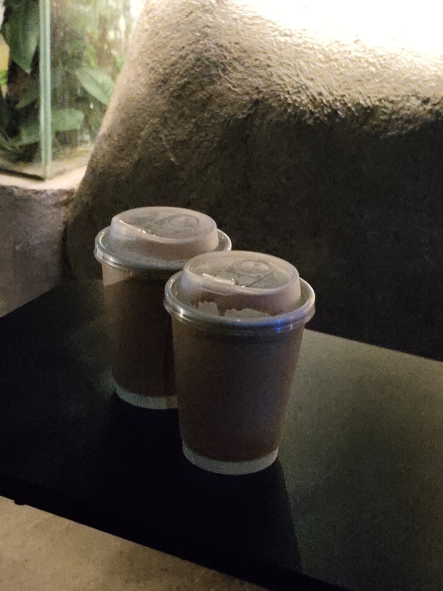 Two paper coffee cups with clear plastic lids are situated on a dark, reflective surface. The cups are brown and appear to contain a dark liquid. Behind the cups, a textured, light brown rock formation is visible, and to the left, a glass enclosure with greenery can be seen. The scene is dimly lit, creating shadows. The location is Unknown, Unknown.
