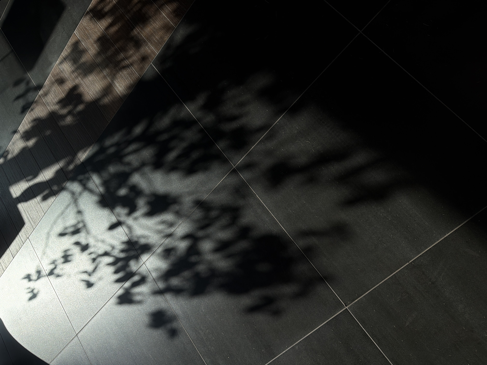 The image shows a dark tiled floor with shadows of foliage projected across it. Part of the floor is covered with wooden planks. No people, subjects, objects, actions, or interactions are explicitly visible. The environment appears to be indoors, possibly a room with a window allowing light to pass through. The location in Izhevsk, Russia, is not determined from the picture.
