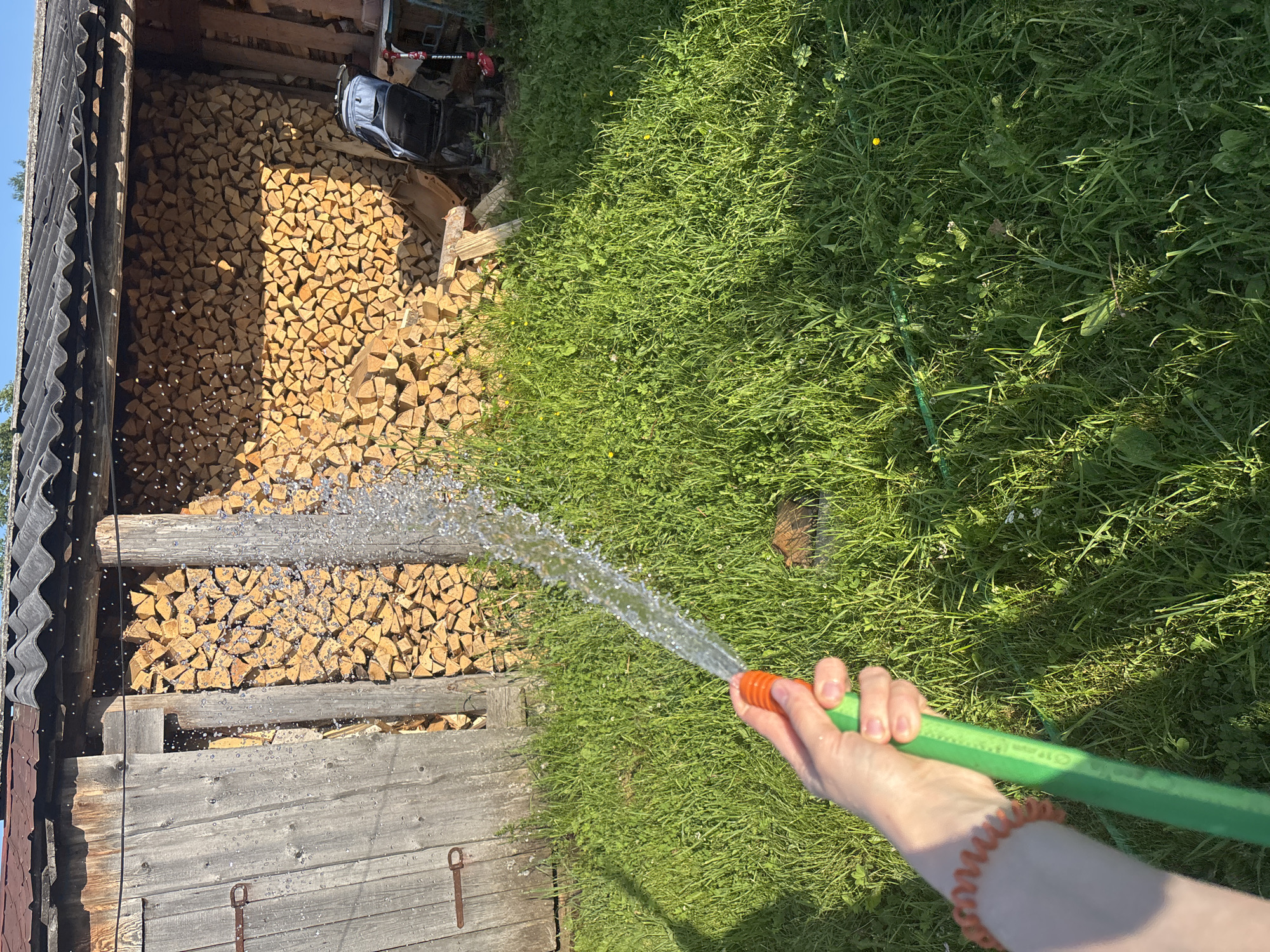 The image depicts an outdoor scene, likely in a rural or suburban area of Курган, Russia. A person's left hand, adorned with an orange coiled bracelet, is holding a green garden hose from which a stream of water is spraying into the air. The background features a wooden structure with a weathered door and a roof made of corrugated material. This structure appears to be a shed or outbuilding, and it is filled with stacked firewood. The ground is covered in lush green grass, with some yellow wildflowers visible. A small red scooter and a baby stroller are partially visible near the firewood storage. The lighting suggests it is daytime, with sunlight casting shadows on the grass.