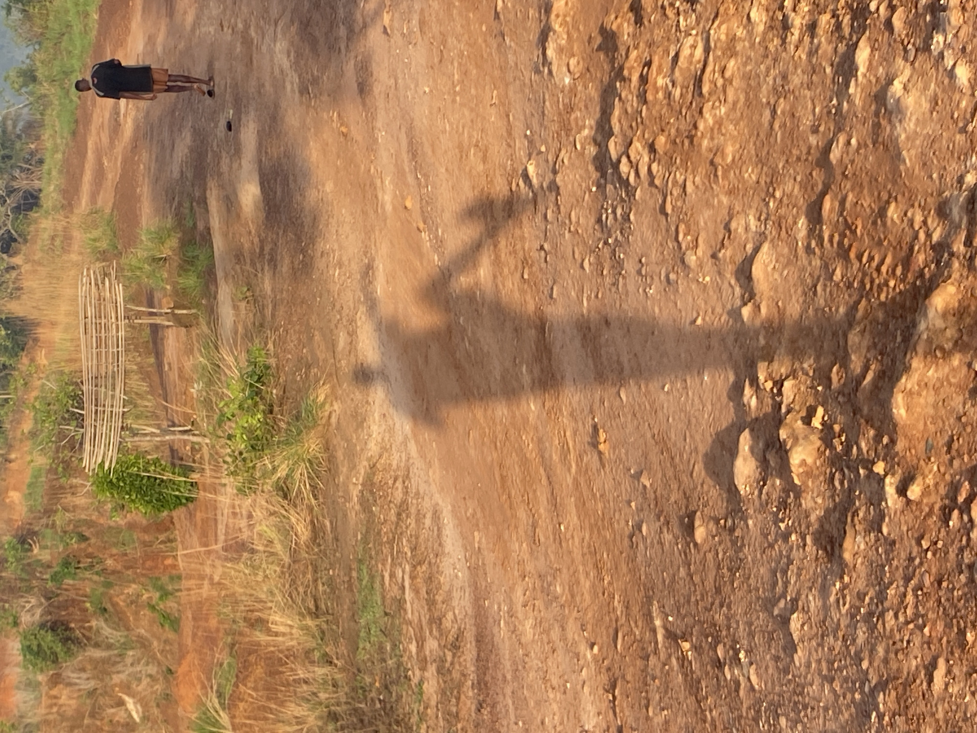 The image shows a person walking on a dirt path in a rural area. A shadow suggests a person holding a fishing rod in the middle of the path. The area is dry and grassy, with some scrub vegetation and rocks. To the left of the frame, what appears to be a bamboo structure is visible. Based on the location provided, this scene likely represents a rural area surrounding the city of Amoso, Nigeria. The light suggests either early morning or late afternoon. The person is walking to the right of the frame and wearing dark clothing.