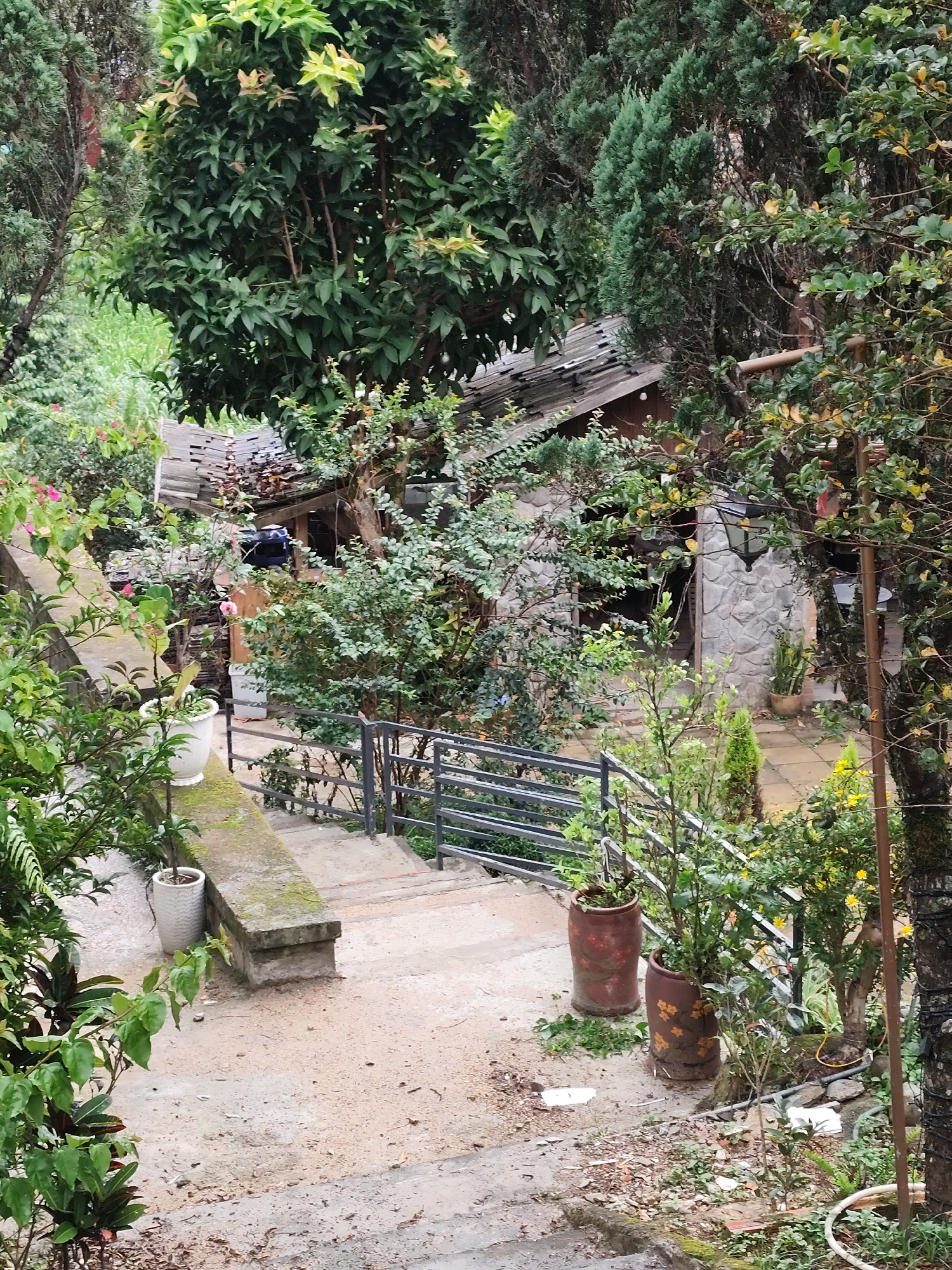 The image depicts an outdoor scene at a residence or guesthouse in Lâm Viên - Đà Lạt, Vietnam. The environment is lush and green, with abundant vegetation including trees, bushes, and potted plants. A stone pathway with steps leads down, flanked by a metal railing. The architectural style suggests a rustic or traditional design, with a stone-clad building visible in the background, featuring a wooden door and windows. A rustic wooden roof is also visible. The ground appears to be a mixture of concrete and dirt, with some leaves and debris scattered about, indicating it might have recently rained or is a damp area. There are no people clearly visible in the frame. The overall impression is one of a tranquil, natural setting within a residential area.