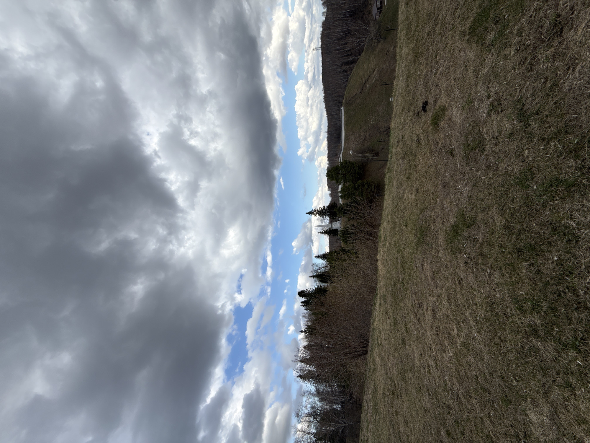 The image, rotated 90 degrees clockwise from its natural landscape orientation, captures an expansive outdoor scene. The upper half of the correctly oriented image is dominated by a dramatic sky. On the left, heavy, dark gray clouds create a sense of impending weather. These transition towards the right into lighter, fluffier white clouds, revealing significant patches of clear, bright blue sky in between.
The lower half of the image features a wide, gently sloping field covered in dry, brown and yellowish grass, suggesting either late autumn or early spring. In the mid-ground, a distinct line of trees and dense bushes stretches across the frame, separating the grassy slope from the distant horizon. Some of these trees are dark green conifers, while others are bare deciduous trees. A faint, lighter-colored path or road appears to run horizontally along the base of the distant treeline.
A notable detail in the grassy field, towards the left of the frame, is a small, dark, indistinct object that appears to be a black animal, possibly a dog, situated on the slope.
The scene depicts daytime with mixed weather conditions, characterized by both overcast skies and sunny patches. The general landscape, with bare deciduous trees and dry grass, is consistent with a northern climate like that of Tobolsk, Russia, during a transitional season. No visible text is present in the image.