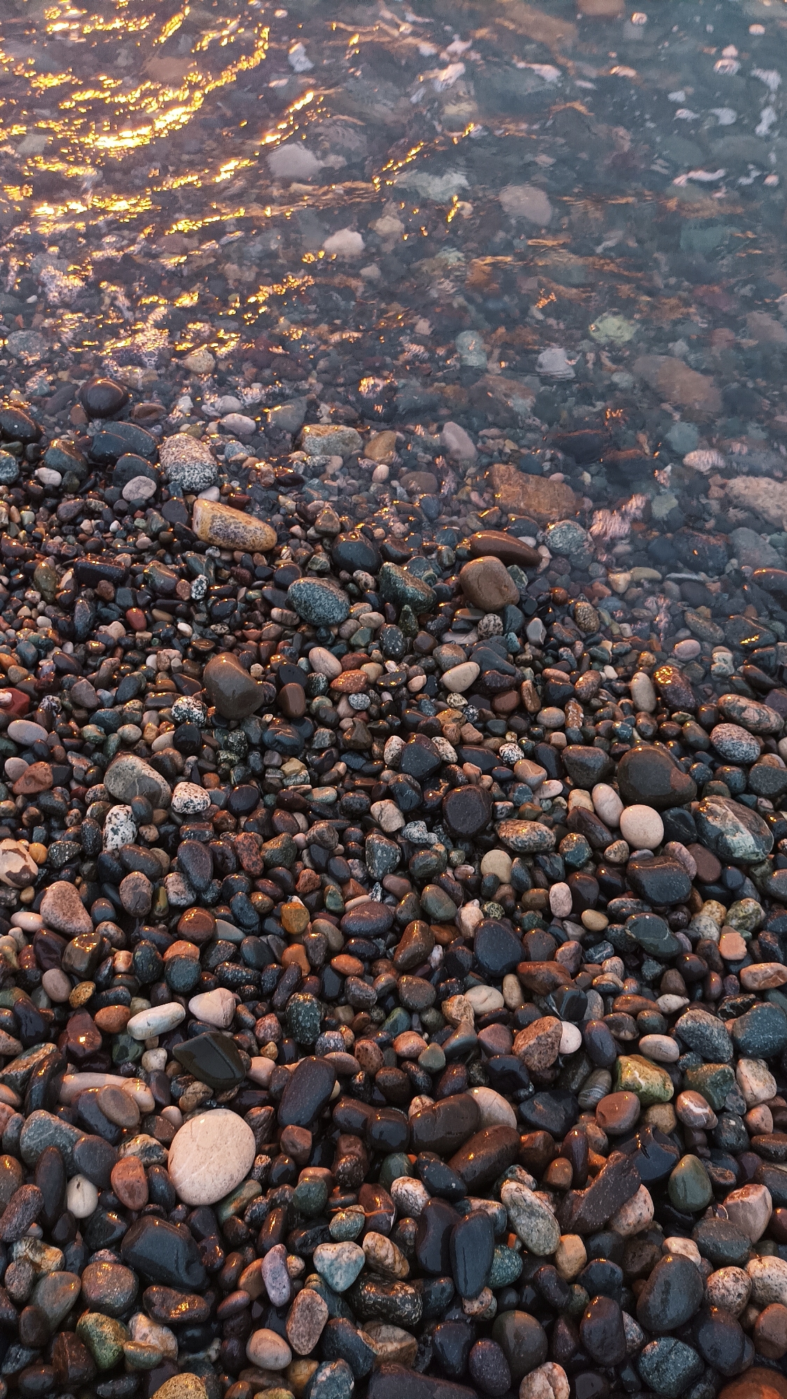The image displays a close-up, high-angle perspective of a pebble beach waterline in Batumi, Georgia. The scene is dominated by a dense aggregation of wet, smooth, rounded pebbles, varying in size from approximately 1 cm to 10 cm in diameter. The pebbles exhibit a diverse color palette, including shades of black, dark gray, brown, white, and occasional reddish or greenish hues. The lower two-thirds of the frame show the saturated pebbles on the immediate shore. The upper third of the frame features shallow, clear water partially submerging identical pebbles. The water surface displays numerous elongated, shimmering golden reflections, consistent with light interacting with a slightly rippled surface. No human subjects, animals, or distinct artificial objects are present. All visible stones appear wet, indicating recent or current water immersion.