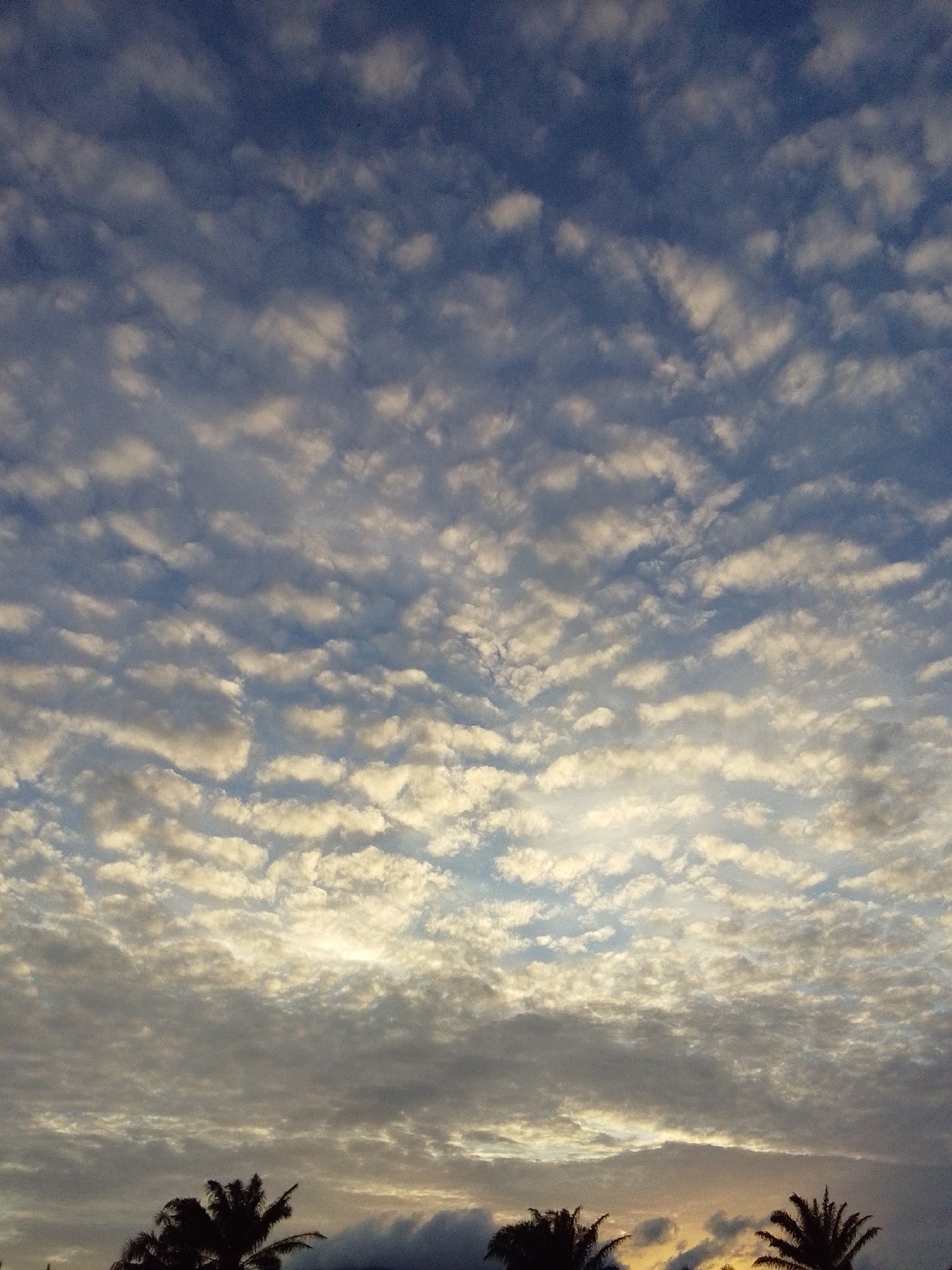 The image depicts a sky filled with scattered, puffy clouds, illuminated by what appears to be the soft light of either sunrise or sunset. The clouds exhibit varying shades of white, gray, and blue, suggesting different densities and altitudes. In the lower portion of the image, the silhouettes of palm trees are visible against the horizon, indicating a tropical or subtropical environment. The overall scene conveys a sense of calm and natural beauty, with the sky dominating the frame. The location is identified as Serti, Nigeria.