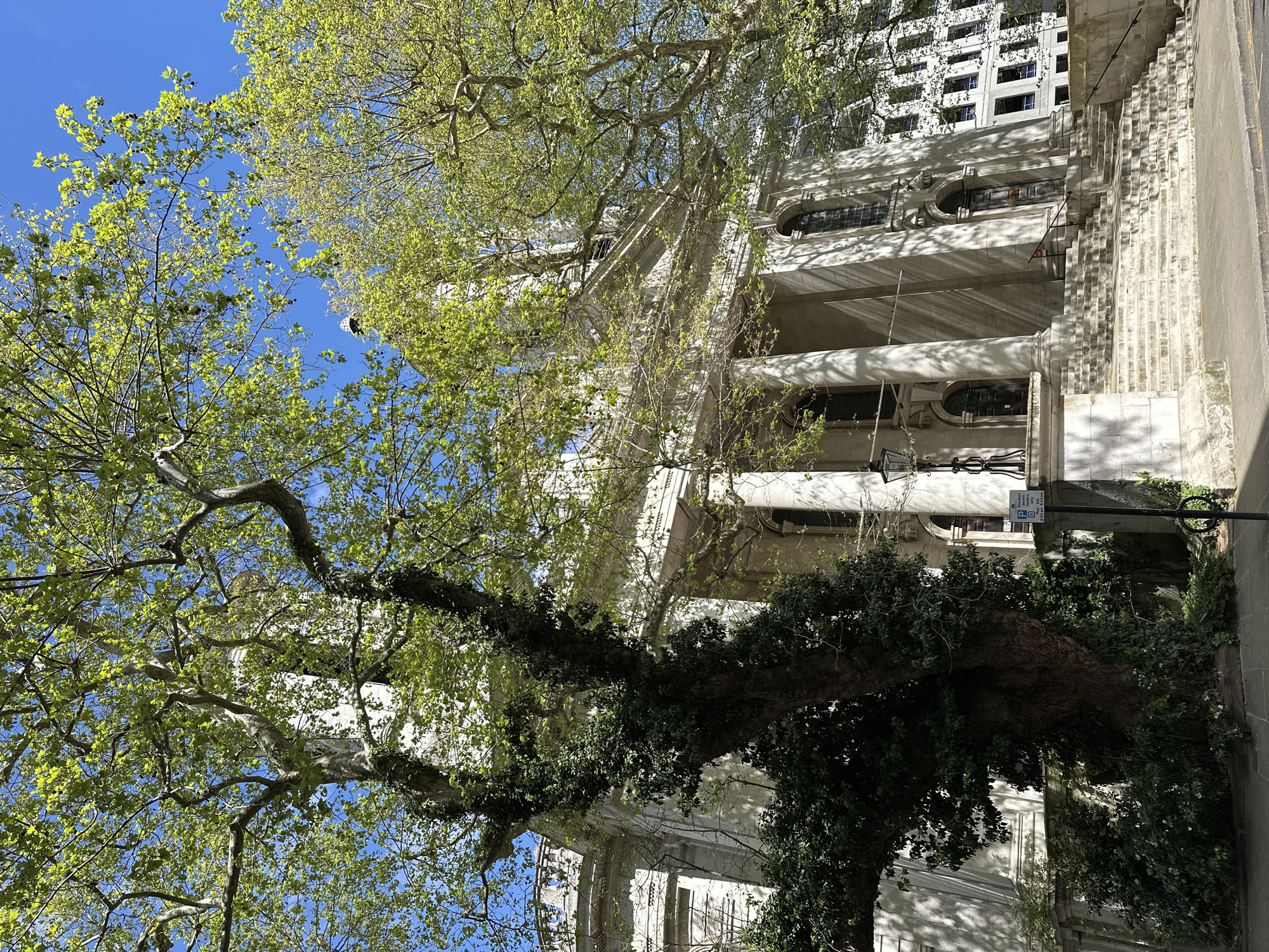 The image shows a building with neoclassical architecture in London, United Kingdom. The building is white, with large columns and multiple windows. A tree with green leaves is in the foreground, partially obscuring the building. The sky is blue. A parking sign is visible near the building.