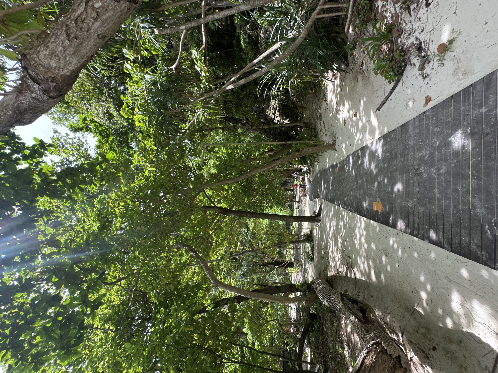 In Ao Nang, Thailand, a wooden boardwalk winds through a sandy path lined with lush green trees. Sunlight filters through the leaves, casting dappled shadows on the ground. To the left, a fallen tree trunk rests on the sand. Further down the path, a few people are visible in the distance, enjoying the natural scenery. The boardwalk itself is dark gray and has orange directional arrows painted on it. The environment is tropical, with dense foliage and a sandy beach area.