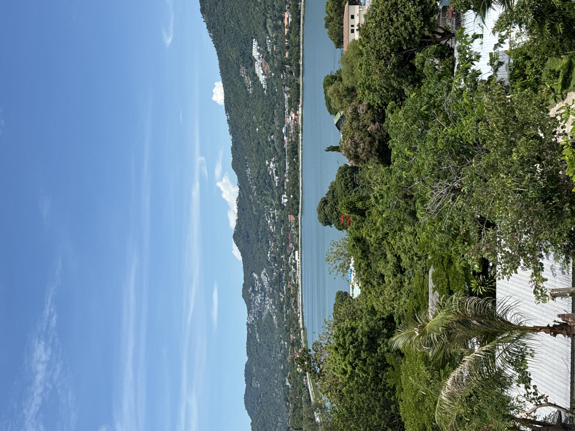 This is a vertical, medium-shot, high-angle landscape photograph taken from a slightly elevated position. The scene is set in the vicinity of Ban Bang Rak, Thailand, and depicts a serene coastal view on a clear day.
The upper portion of the image is dominated by a bright blue sky, adorned with wispy white clouds. Below the sky, a range of lush green hills forms the backdrop, with a sprawling town nestled on their slopes. White structures, indicative of residential buildings or resorts, are scattered across the hillside.
In the middle ground, a tranquil body of turquoise water stretches horizontally, reflecting the sky. Along the far edge of the water, a road or promenade is visible, lined with trees. The water appears calm, suggesting it could be a bay or a large lake.
The foreground is filled with dense, verdant foliage, primarily consisting of various trees and palm fronds. The leaves are a rich green, indicating a tropical environment. Among the greenery, glimpses of white rooftops of buildings can be seen, suggesting human habitation or structures are present within the lush landscape. The overall impression is one of natural beauty and peaceful coexistence between the environment and human settlement.